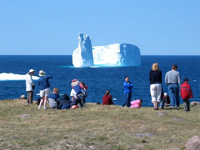 Iceberg In Canada