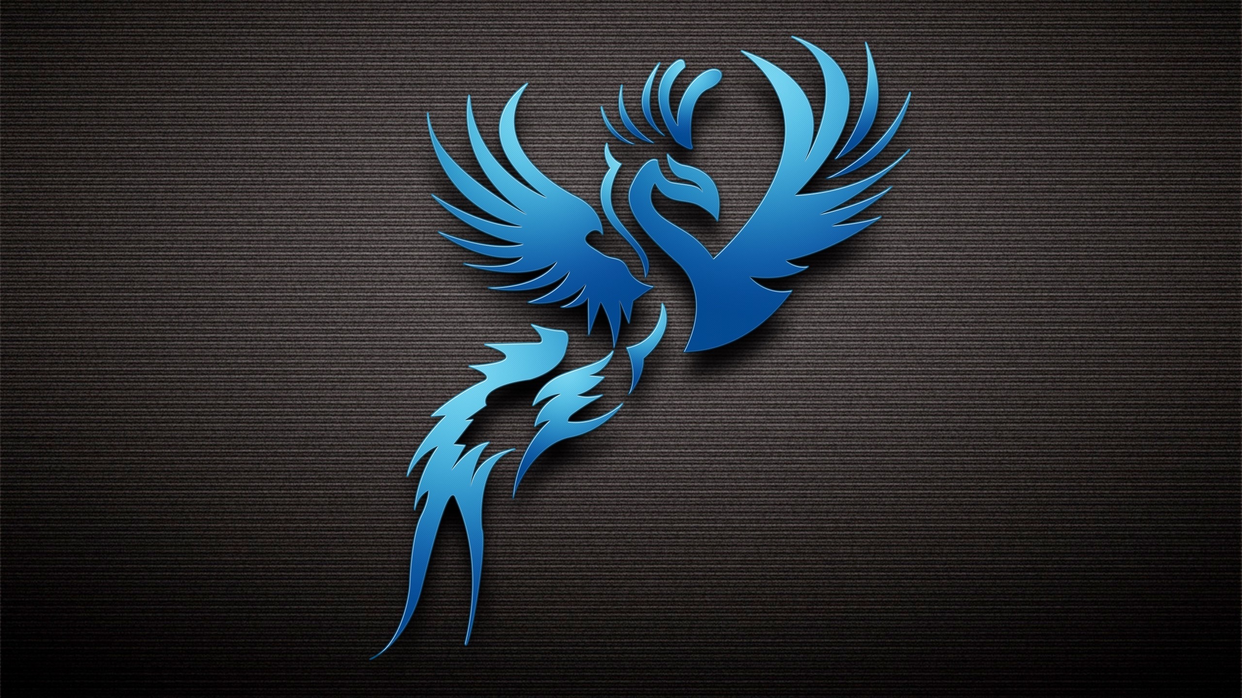 Dark Blue Bird HDtv Wallpaper