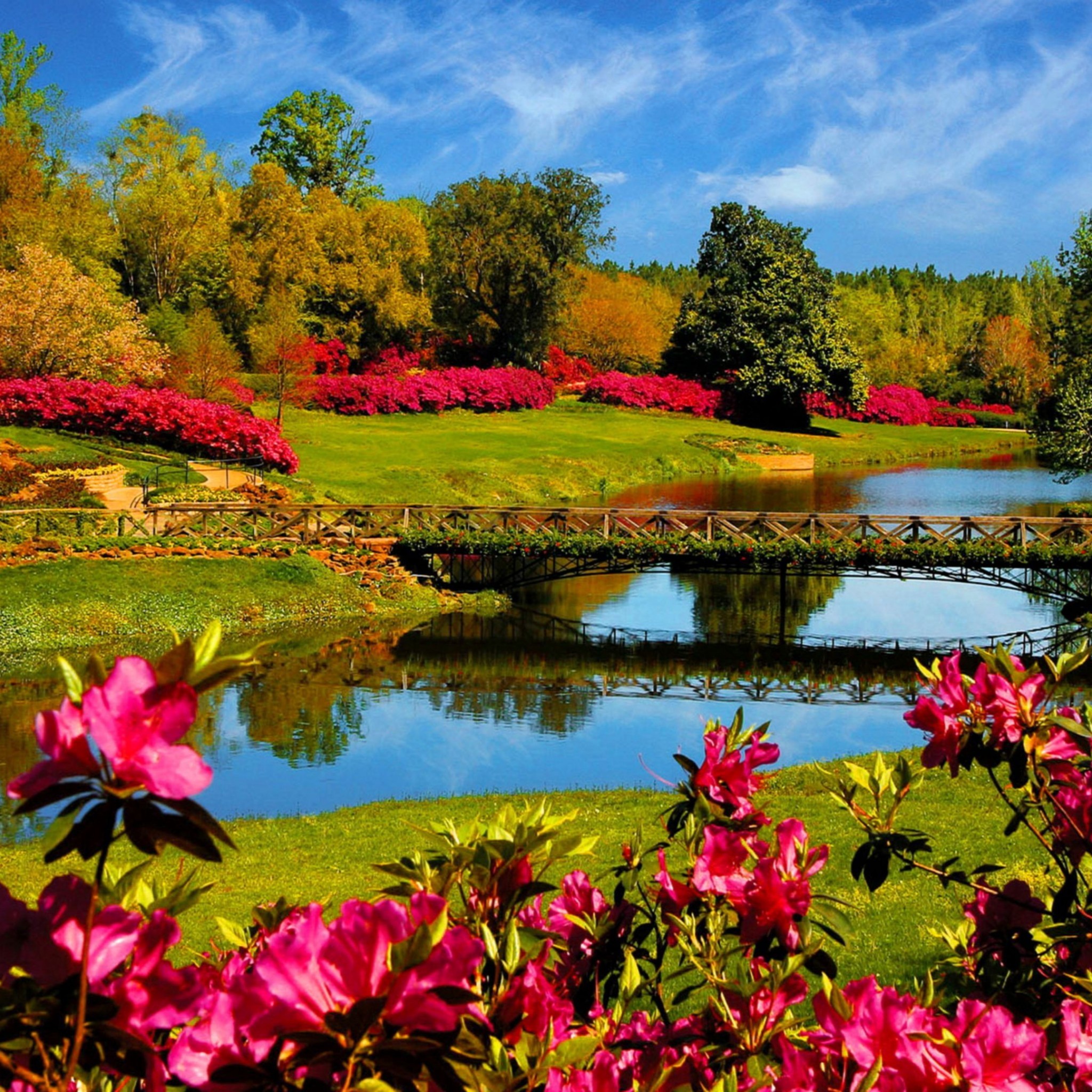 Wallpaper Spring Nature Scenes