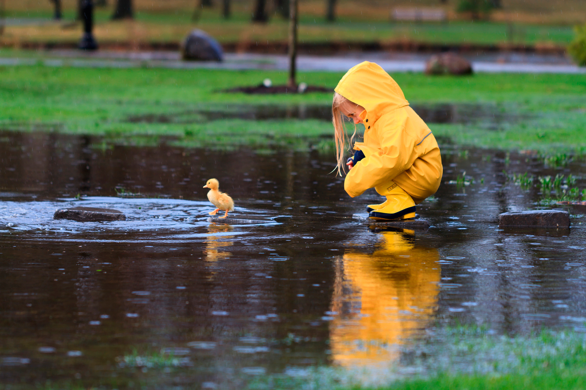 Raincoat HD Wallpaper Background Image