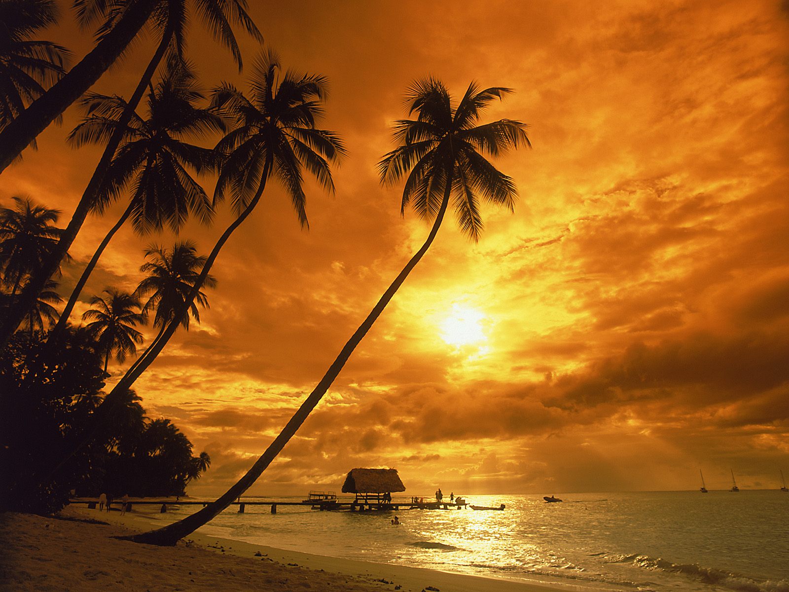 Hawaii Sunset Wallpaper HD Background Desktop