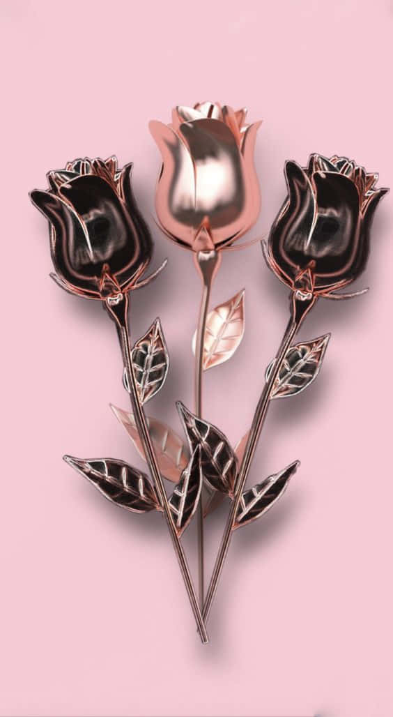 Rose Gold And Black Wallpaper