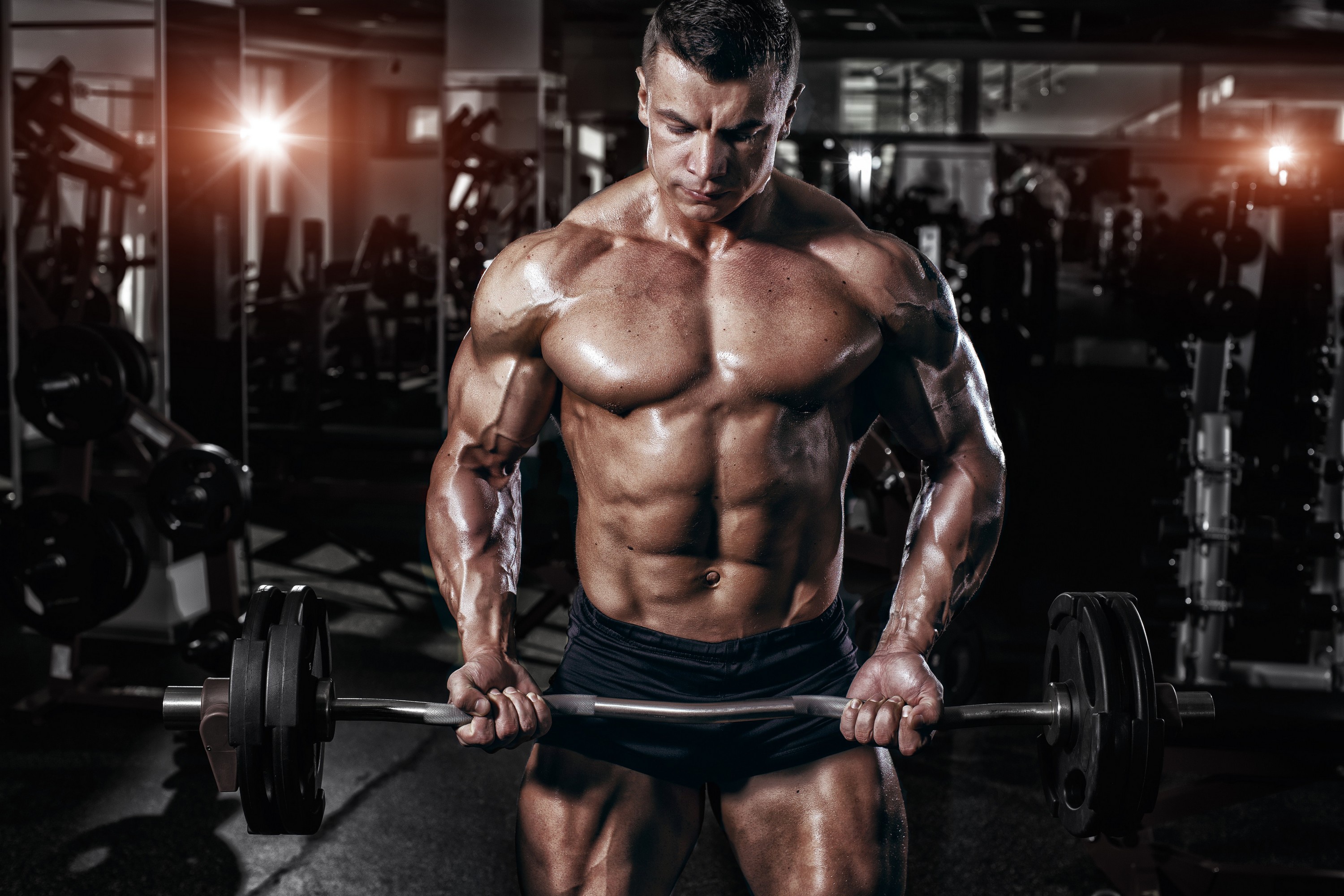 Bodybuilding Wallpaper
