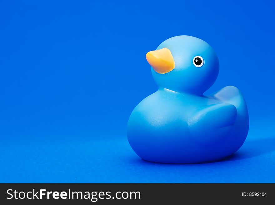 Free download Blue Rubber Duck On Blue Background Free Stock Images