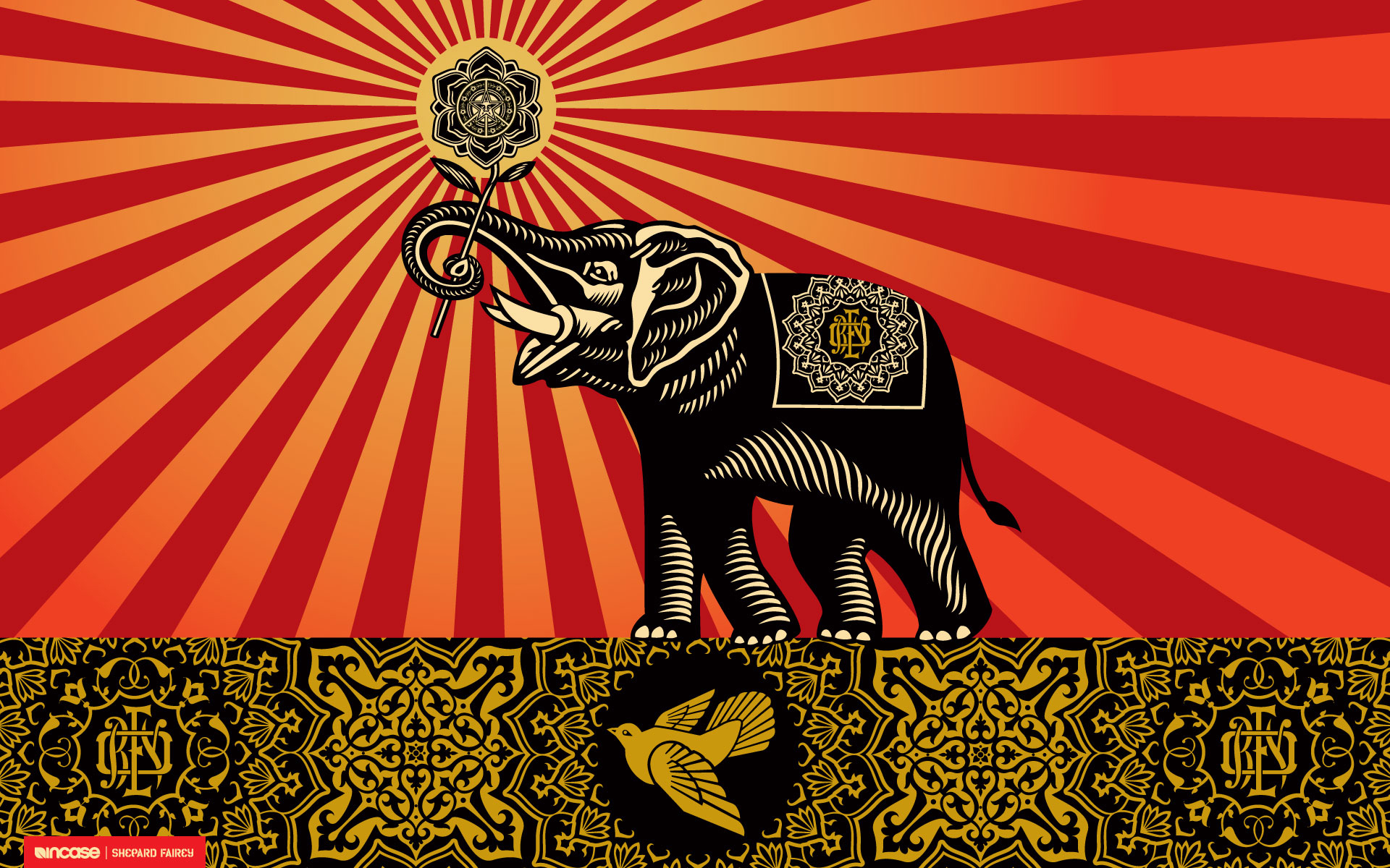 Elephant Computer Wallpaper Desktop Background Id