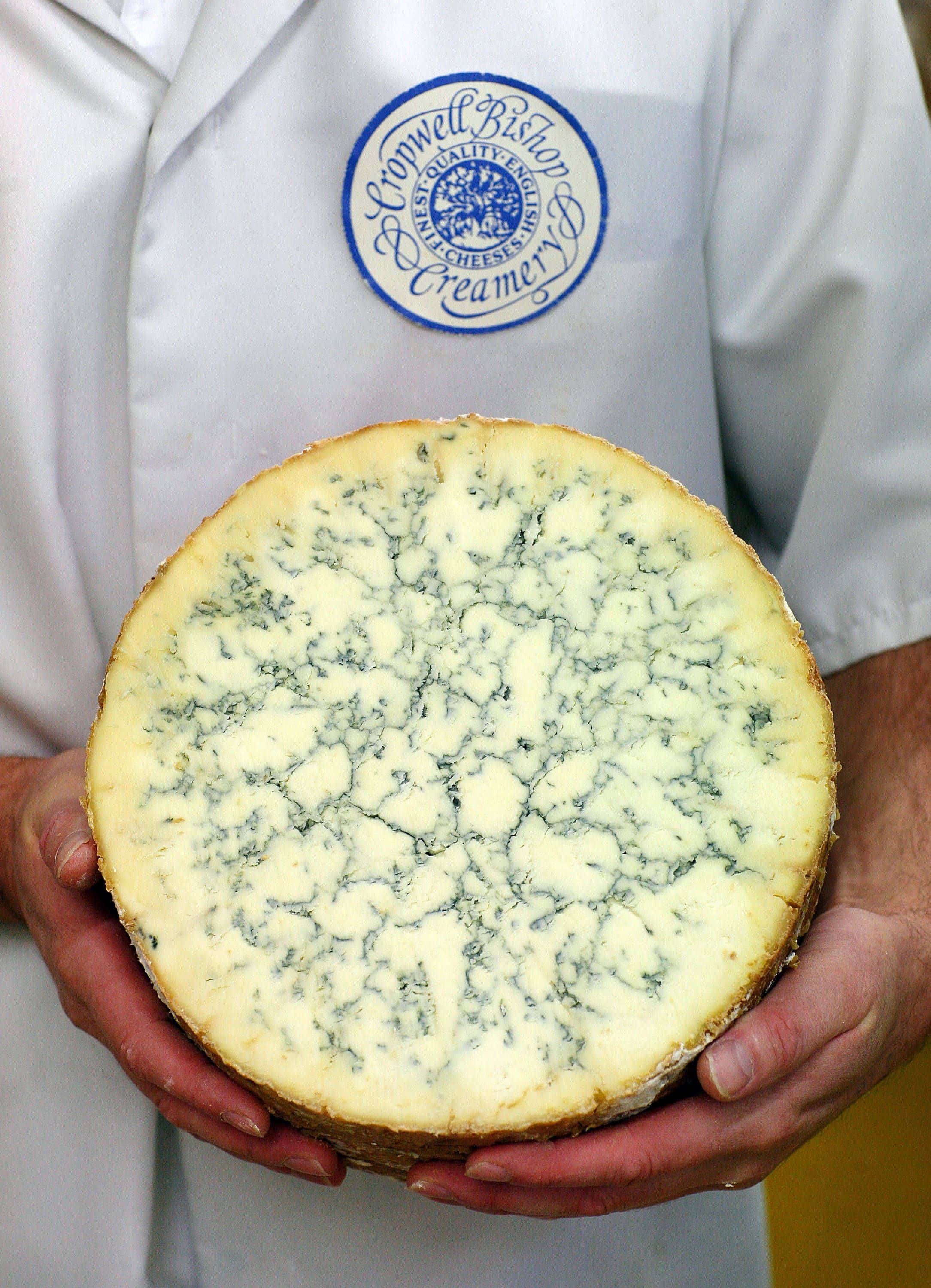 Blue Cheese Wallpaper
