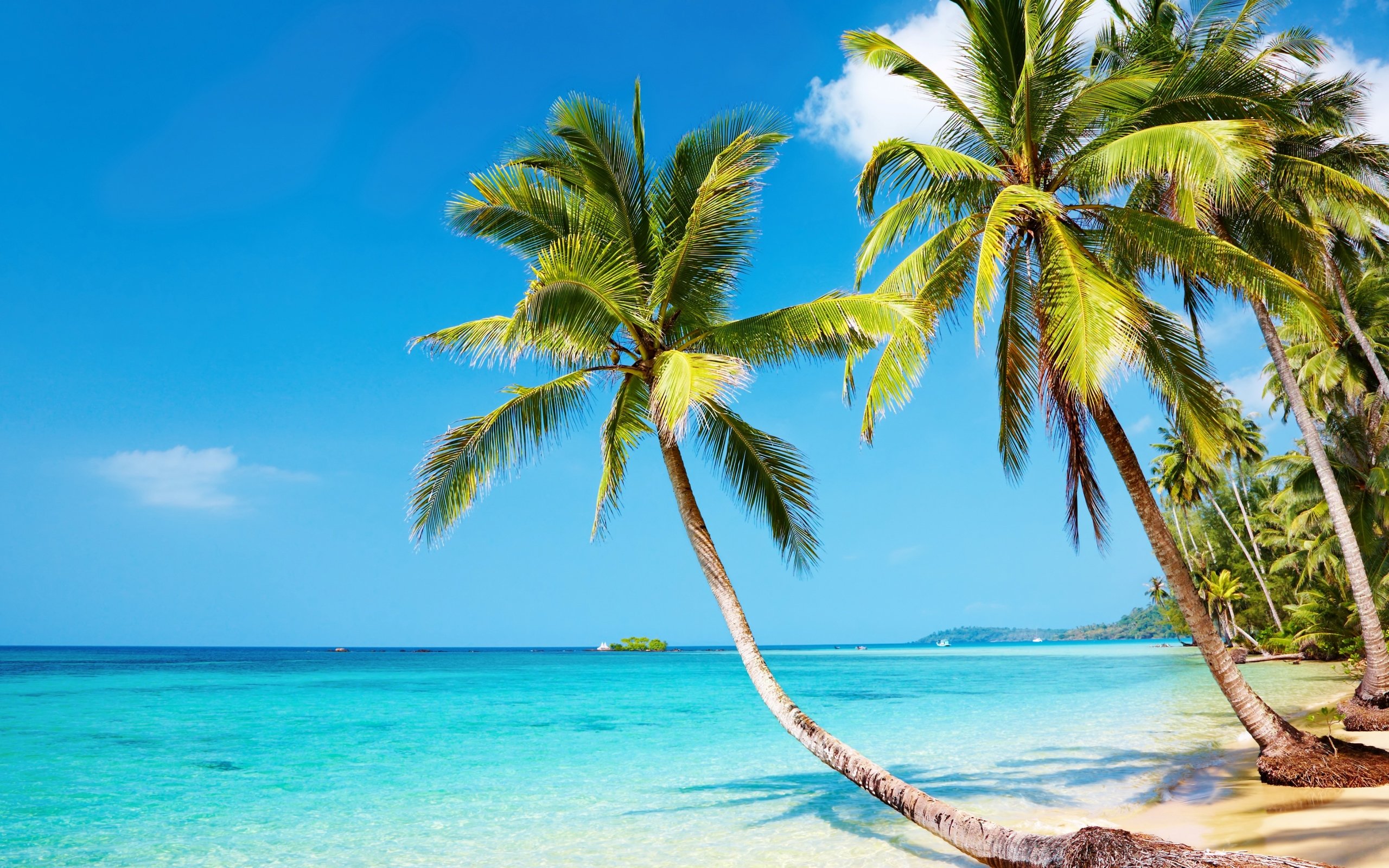 Tropical beach 4K Ultra HD wallpaper 4k WallpaperNet 2560x1600
