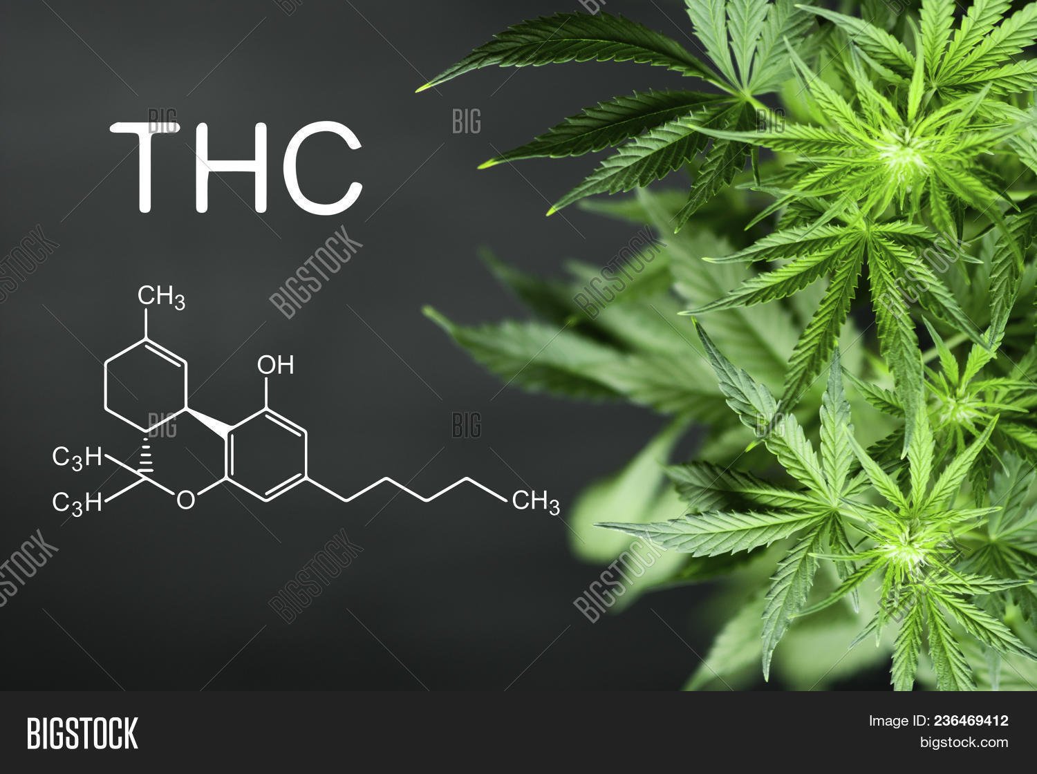 THC Molecule Wallpaper