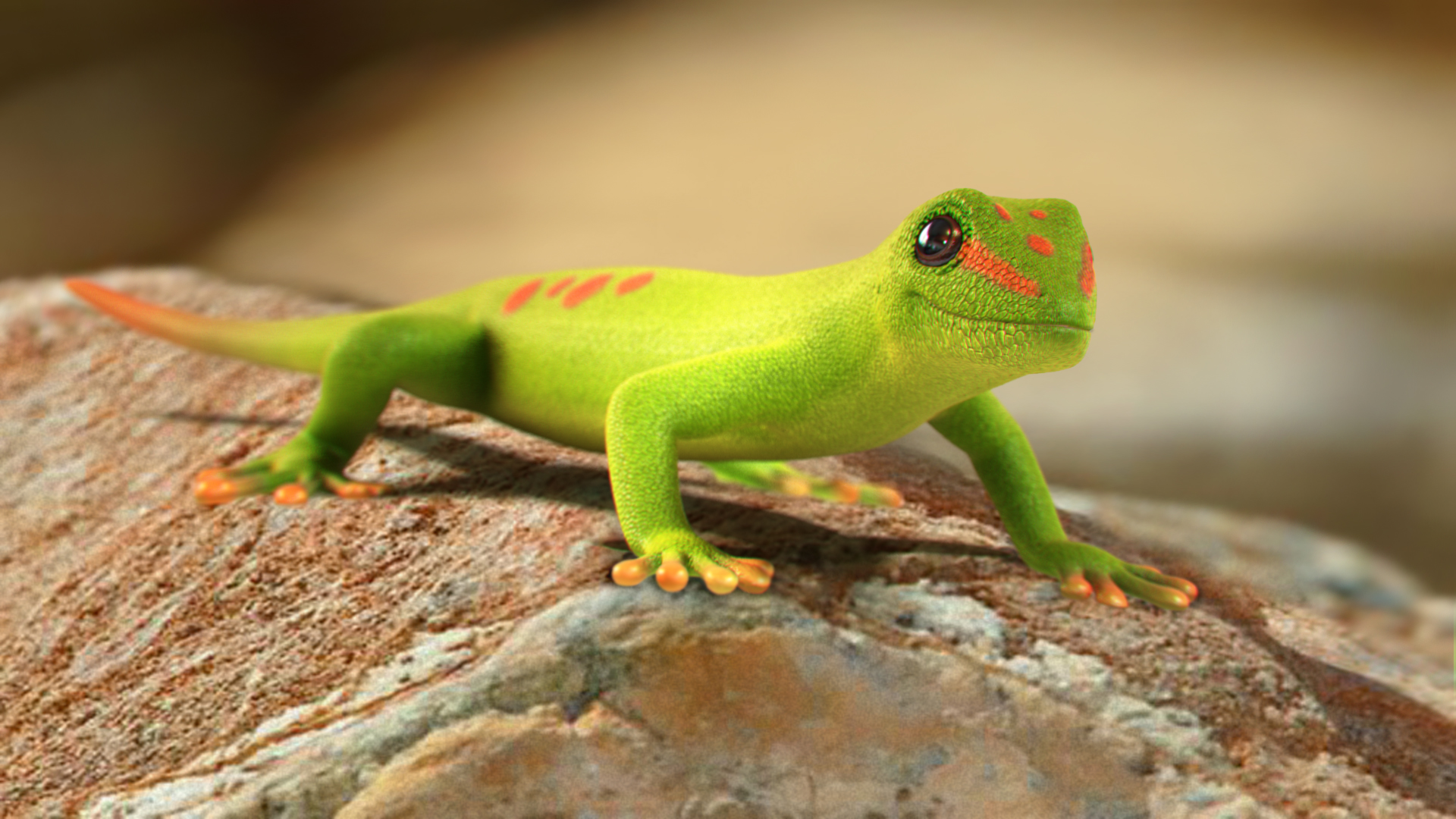 Incredible Wallpaper Gecko High Resolution