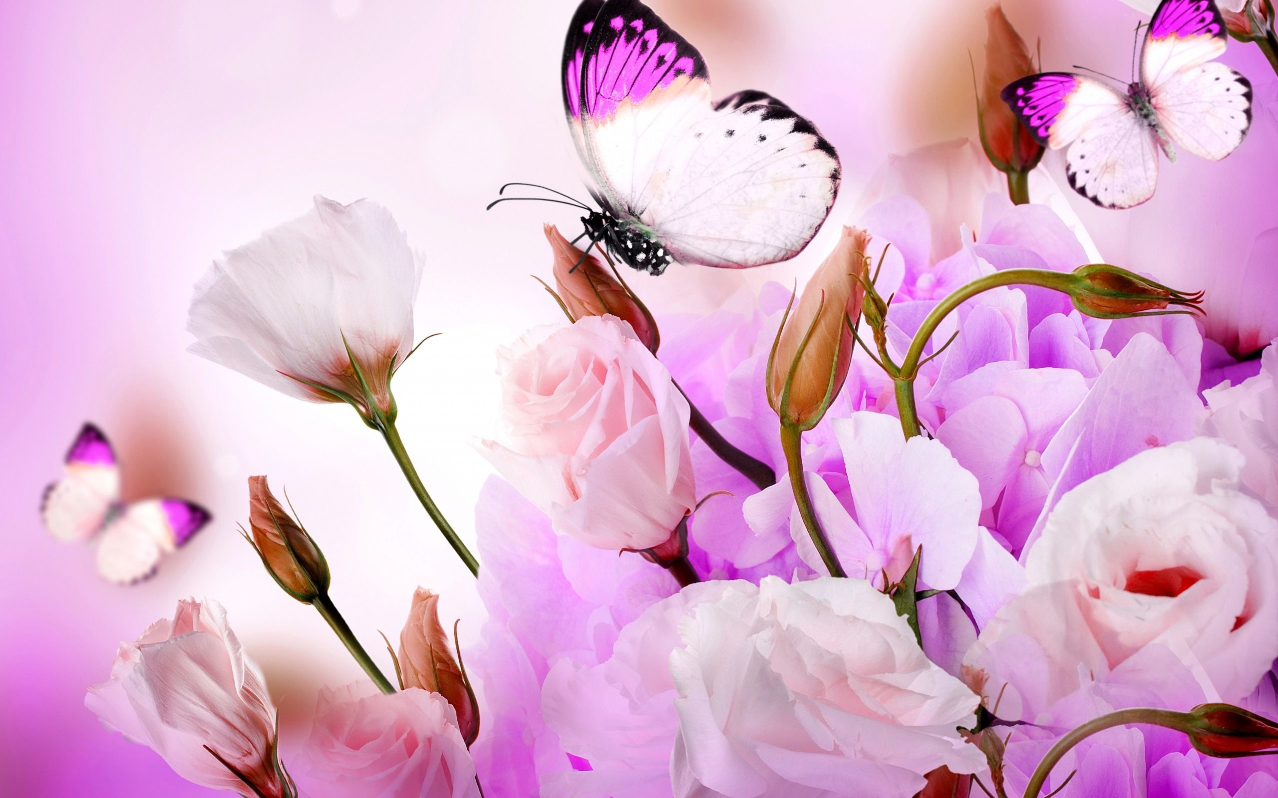 Butterfly And Flower Wallpaper