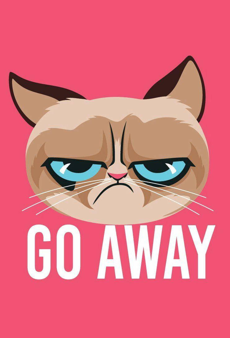 Cat Meme Wallpaper