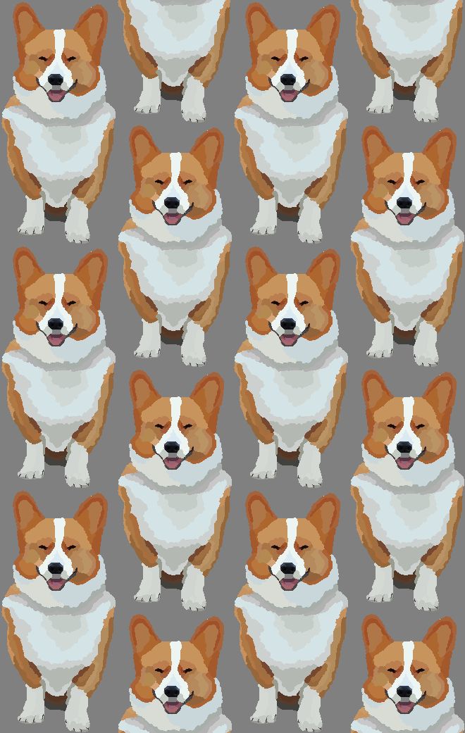 Cute Corgi Dog Background Images  Free Photos PNG Stickers Wallpapers   Backgrounds  rawpixel