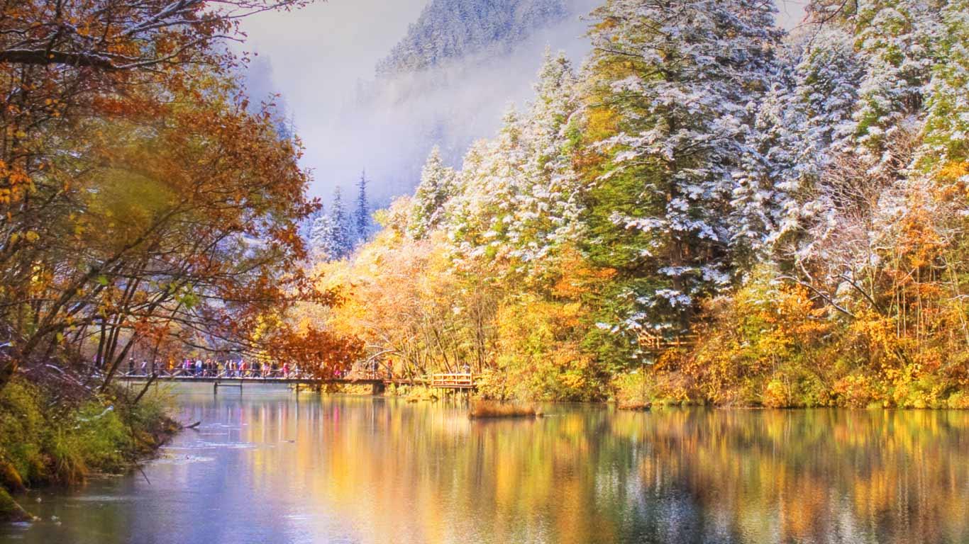 [50 ] Bing Autumn Desktop Wallpaper Wallpapersafari