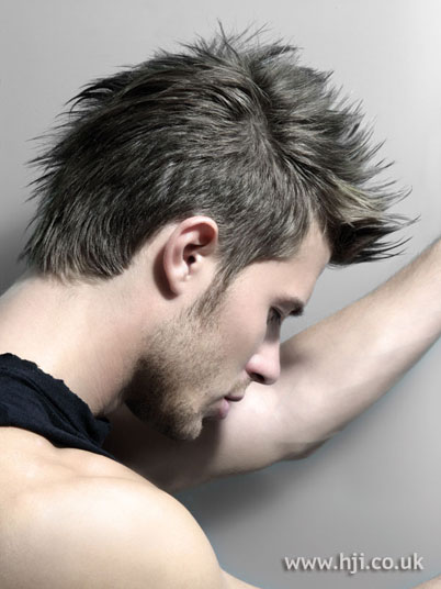 Cool Mens Hairstyles