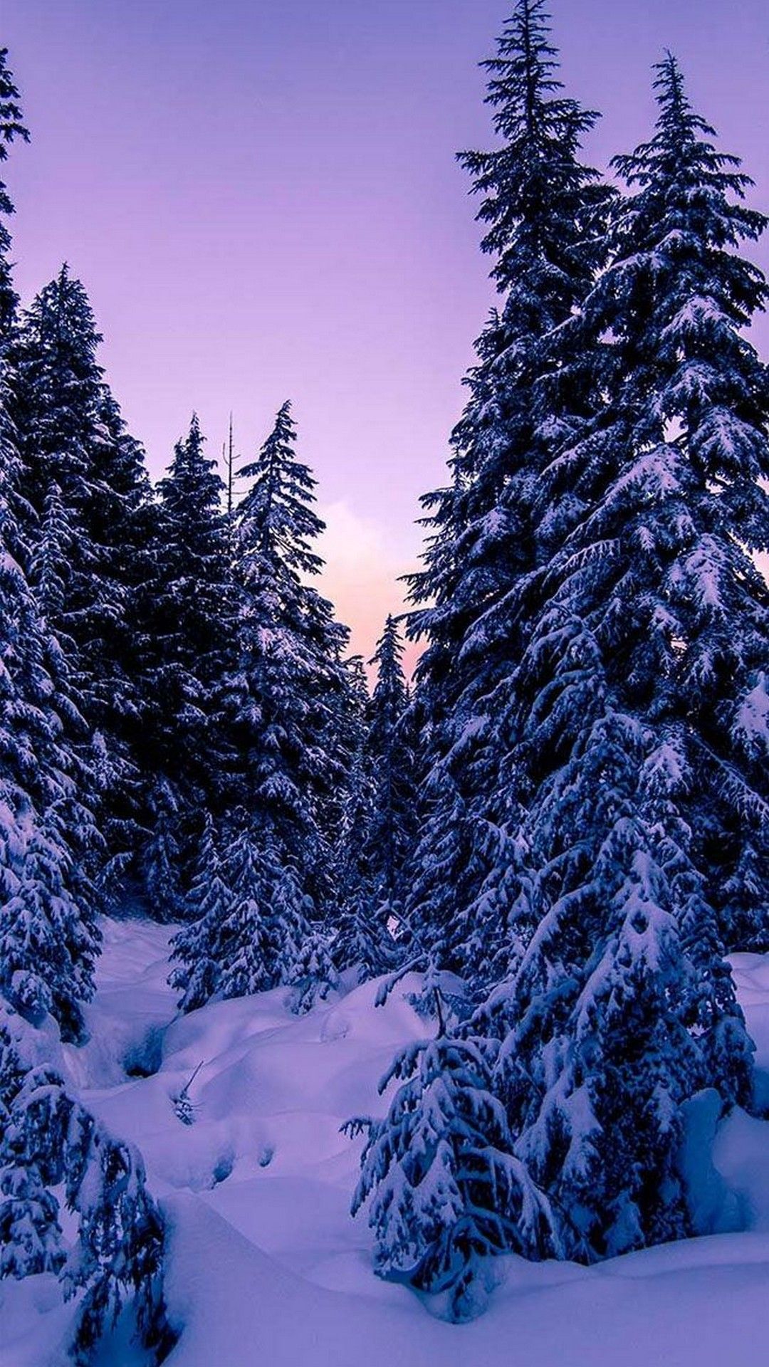 Snow Aesthetic Wallpaper