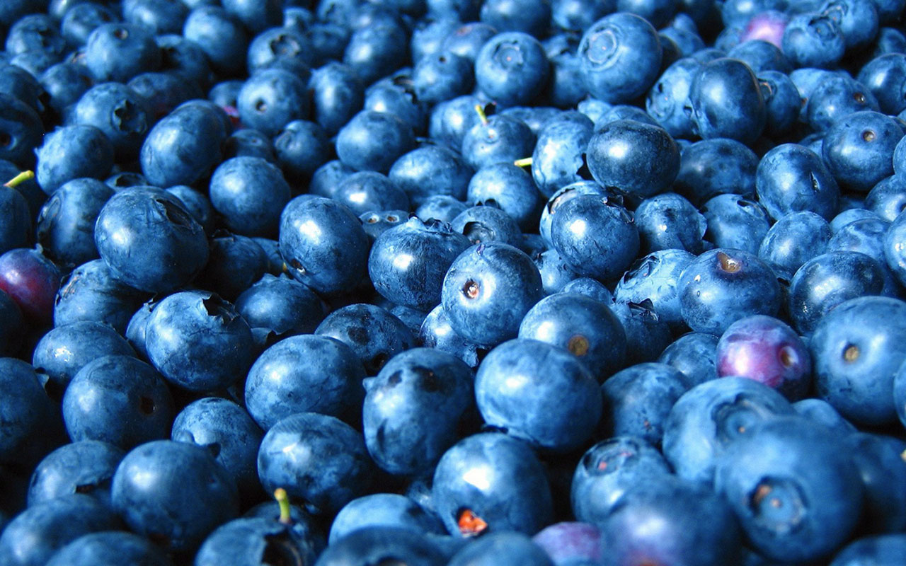 Of Fruit Blueberries HD Photography Wallpaper Cate