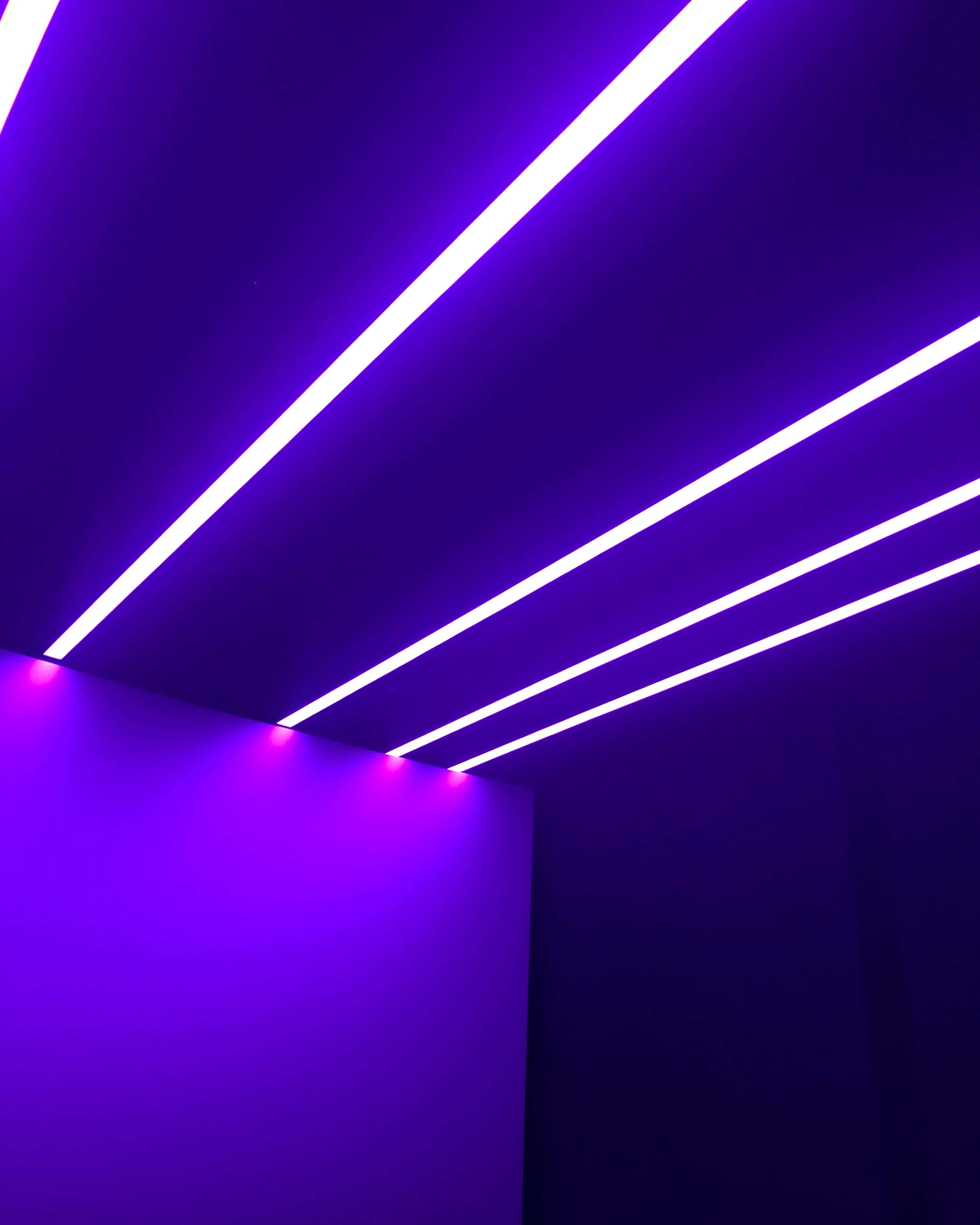 Purple Neon Background Wallpaper