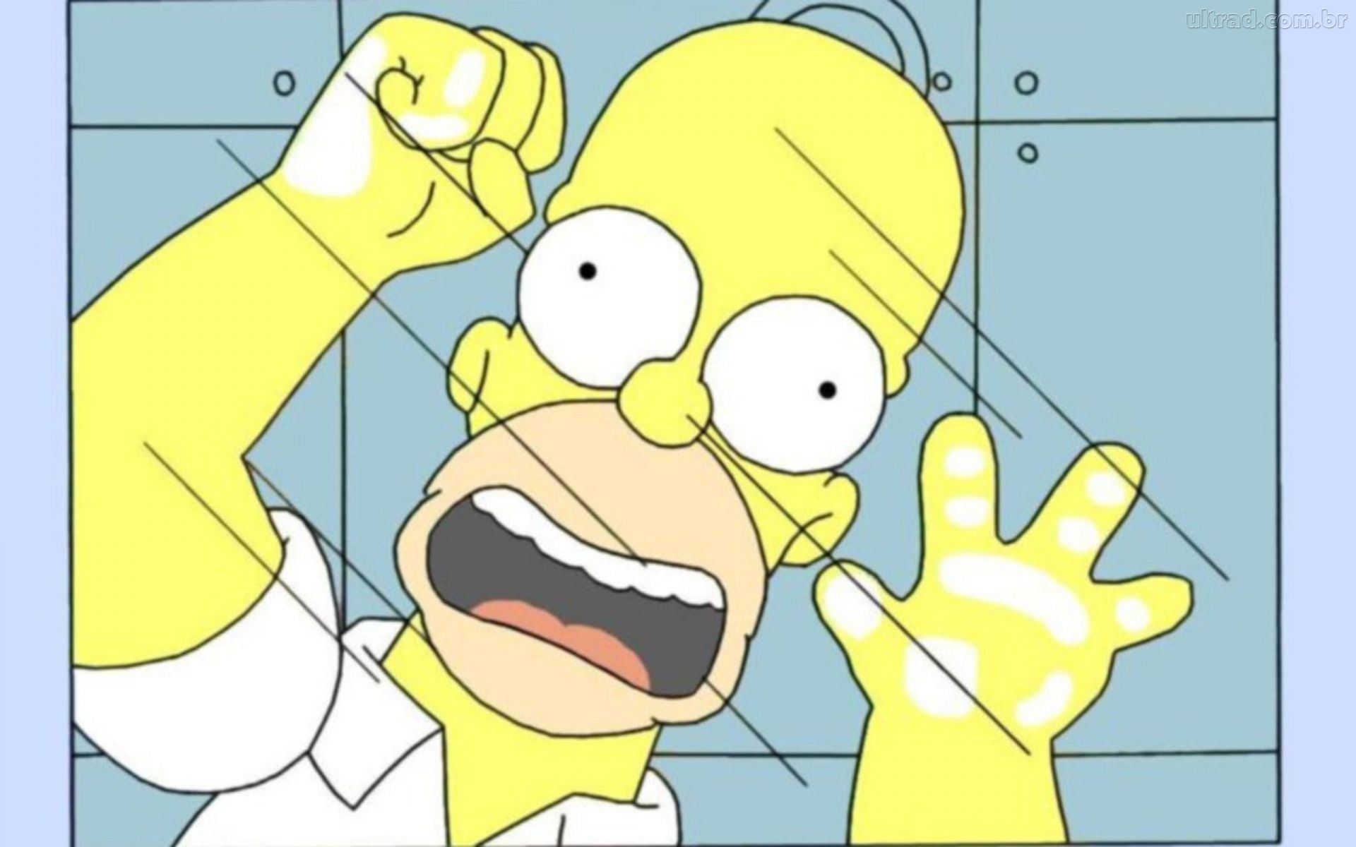Wallpaper Homer Simpson Simpsons