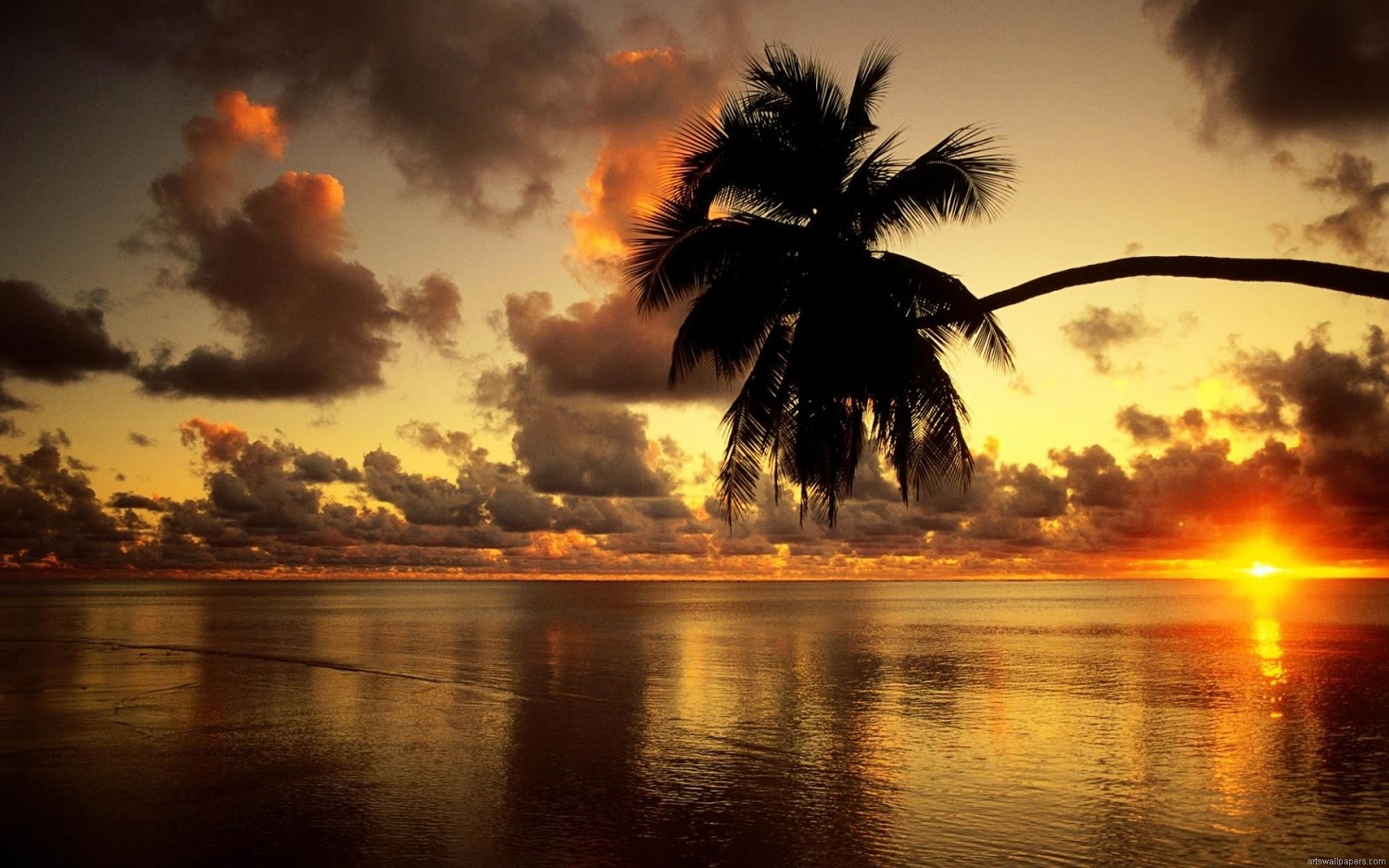 Desktop Computer Wallpaper