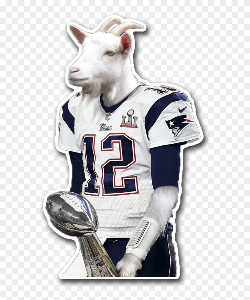 Tom Brady Goat Wallpaper