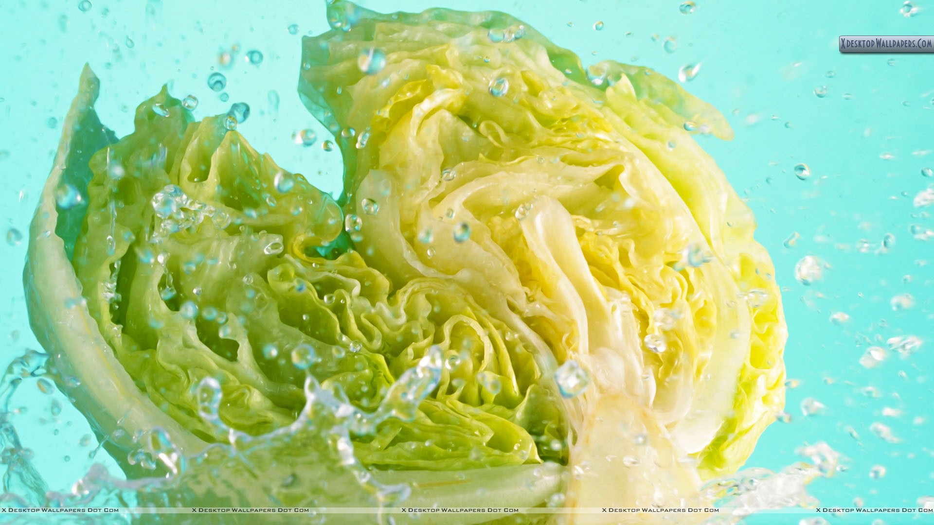 Half Cabbage In Water Wallpaper