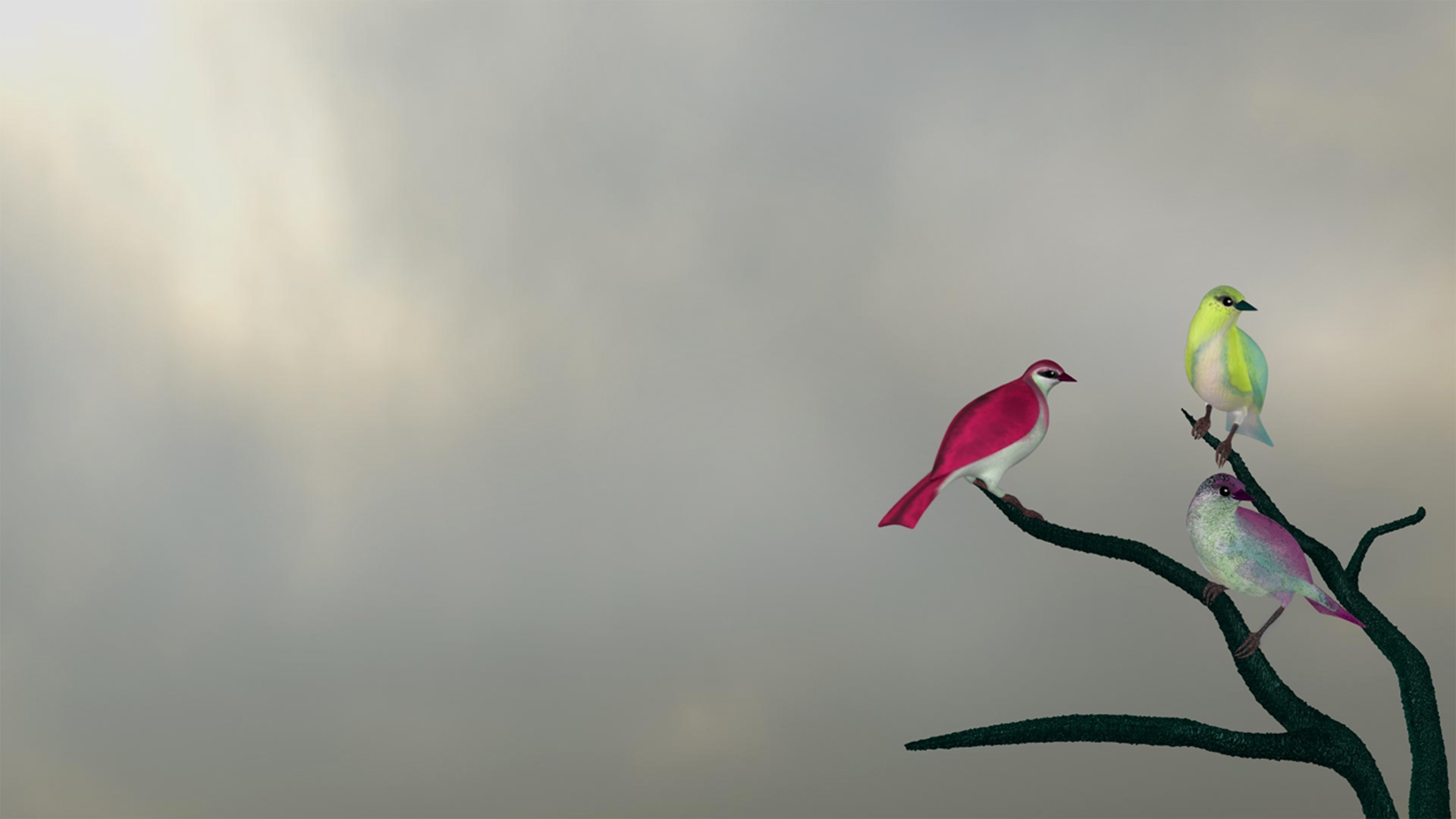 Pink green and purple sparrow birds wallpapers HD Wallpapers Rocks 1920x1080