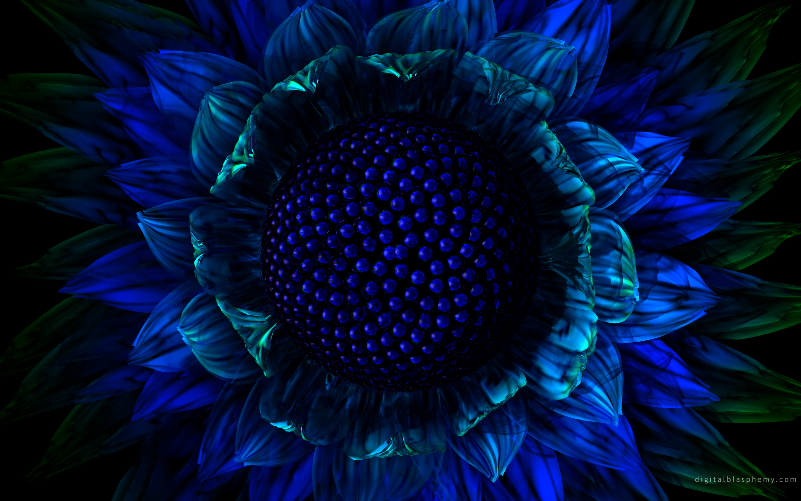 Sunflower Wallpaper Desktop