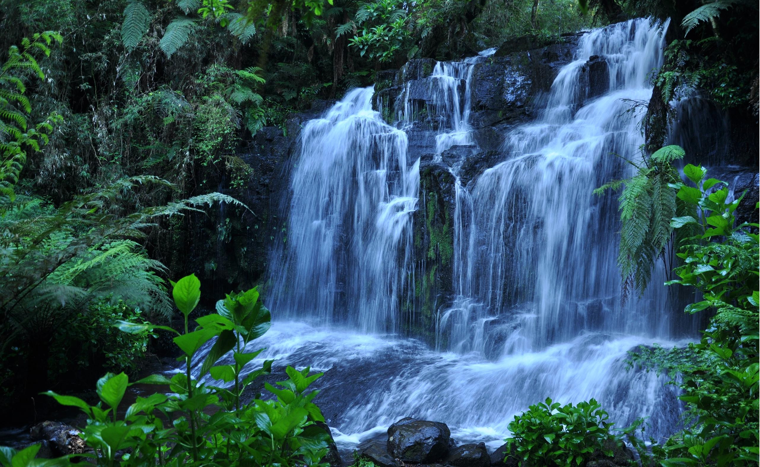 Wallpaper Spring Nature Scenes