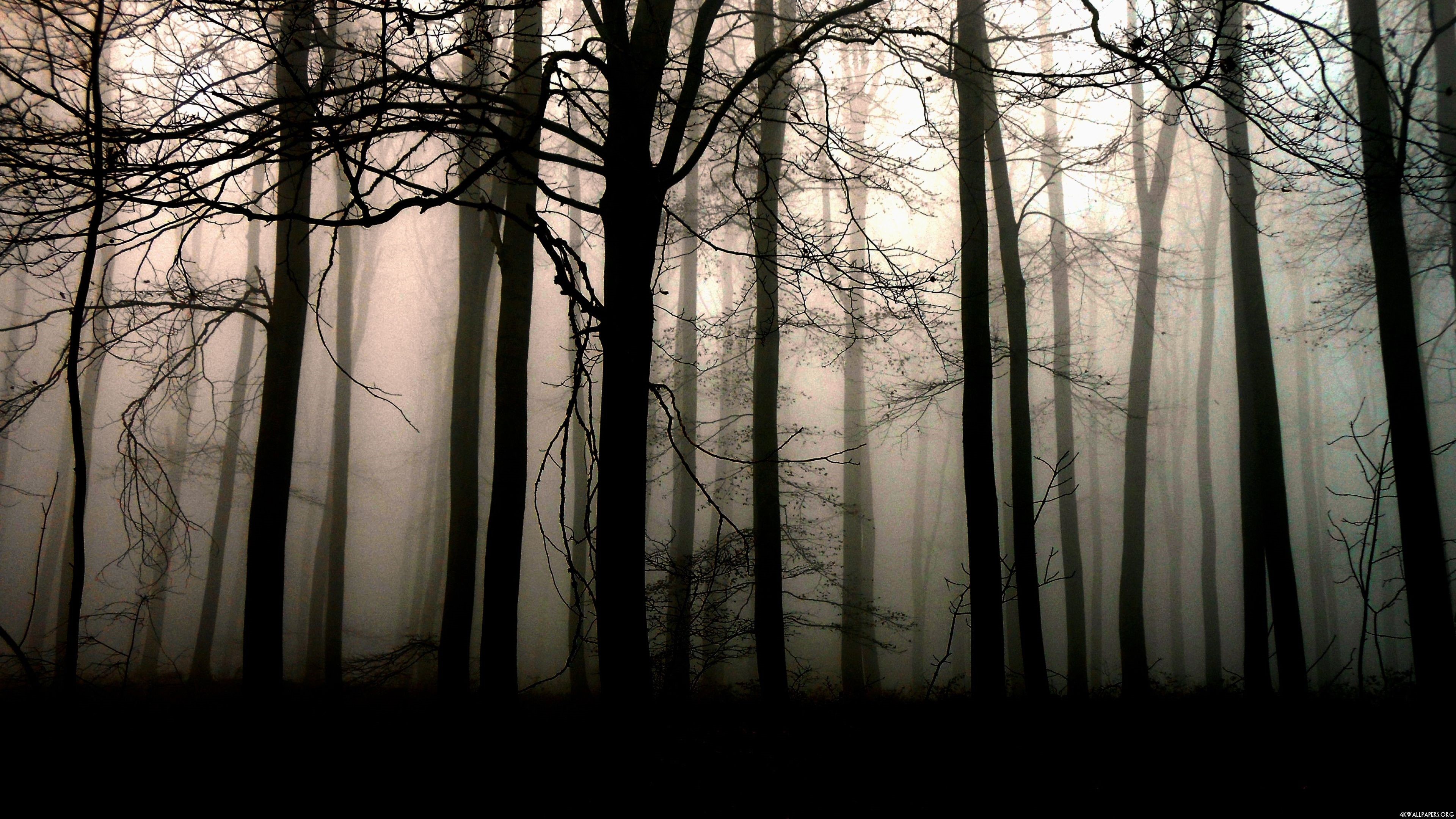 4k Dark Desktop Image Wallpaper
