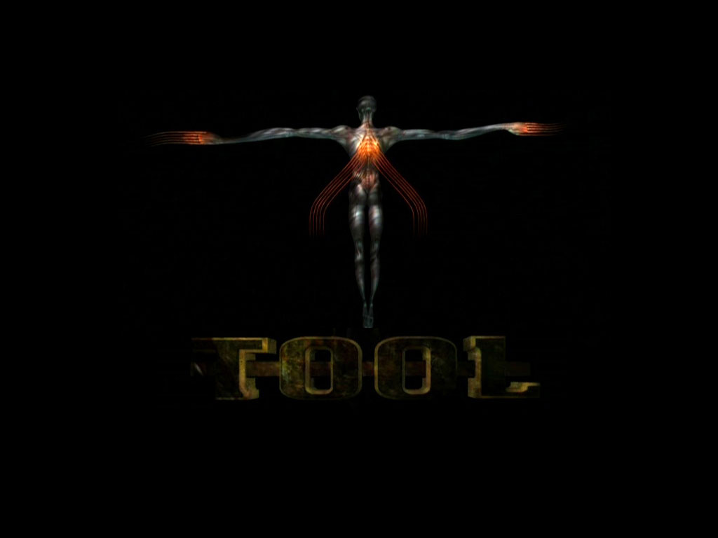 You Are Ing Tool HD Wallpaper Color Palette Tags Category