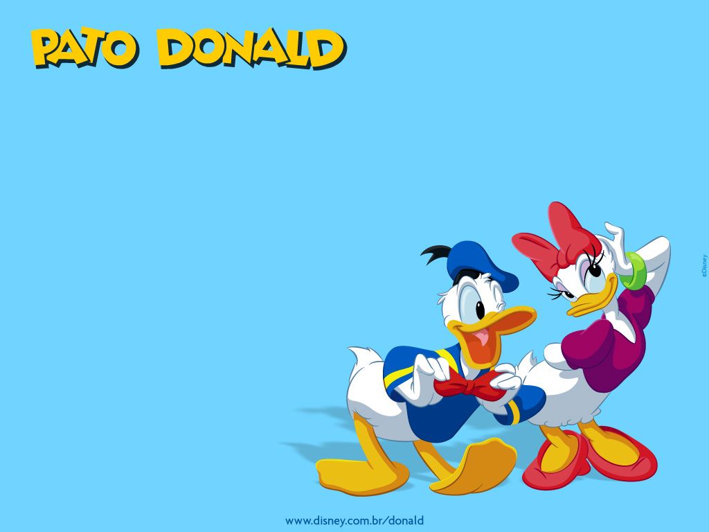 Duck And Daisy Desktop Image Donald Wallpaper