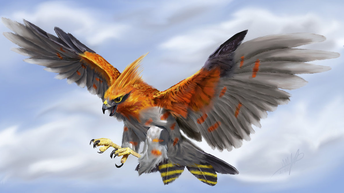 Talonflame by Yggdrassal on