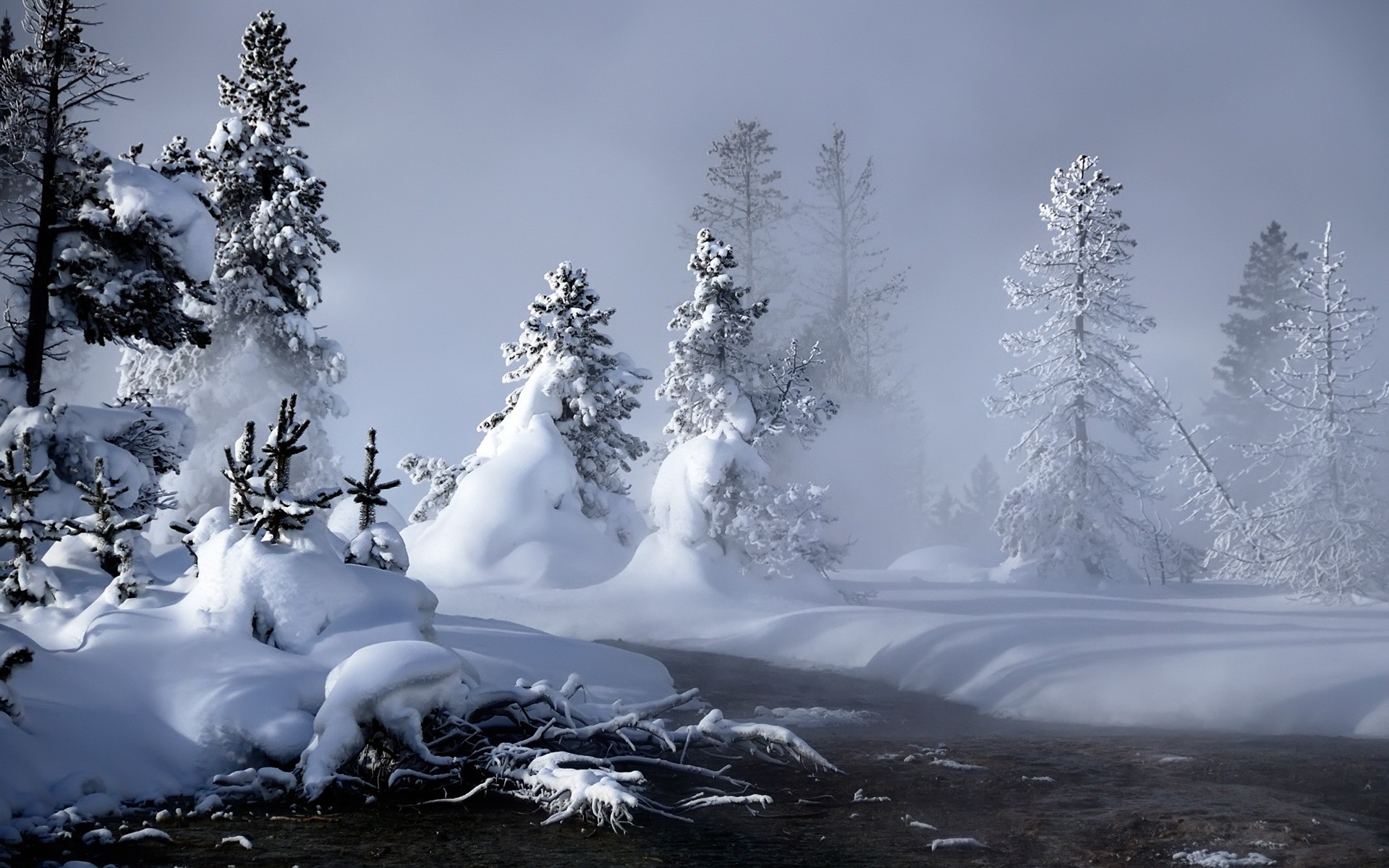 Winter Landscapes Cute Wallpaper