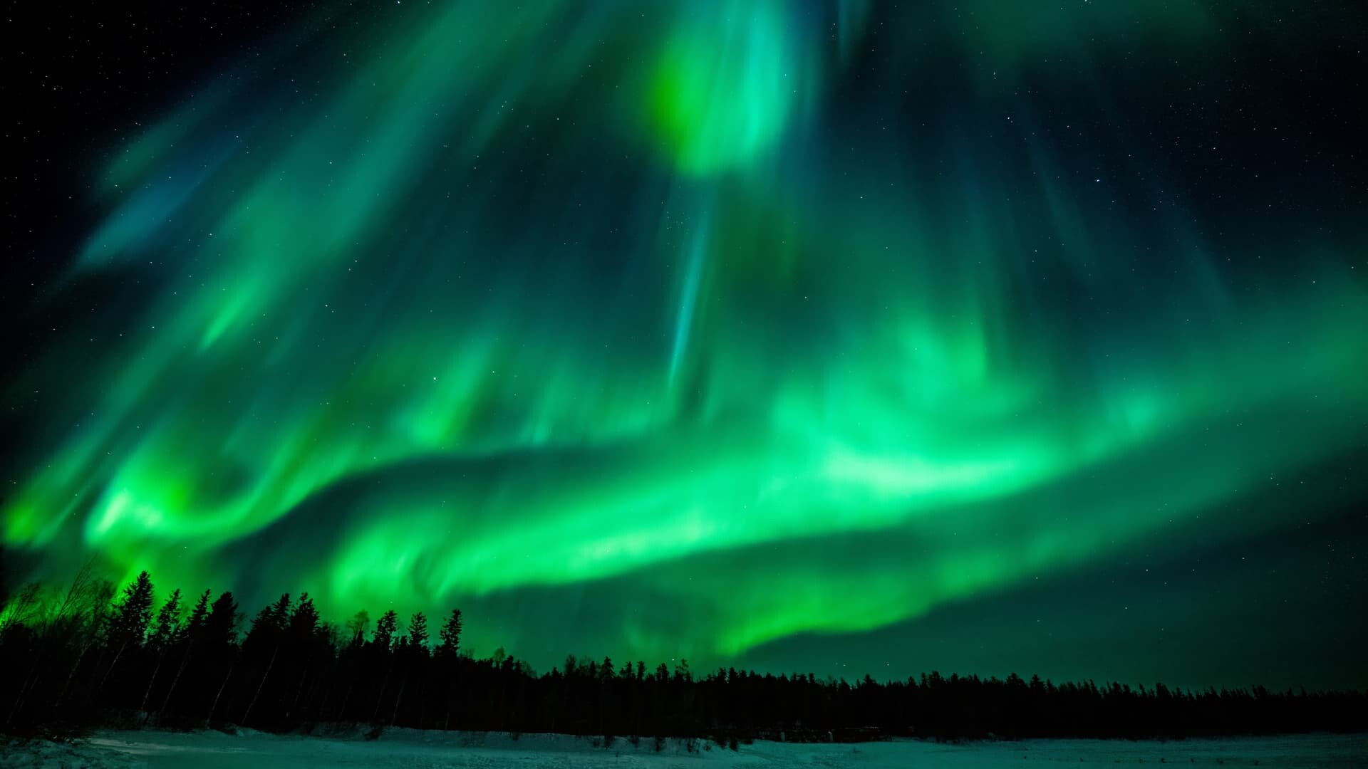 A vibrant display of the Northern Lights, also known as the Aurora Borealis, illuminating the night sky with shades of green over a snowy landscape
