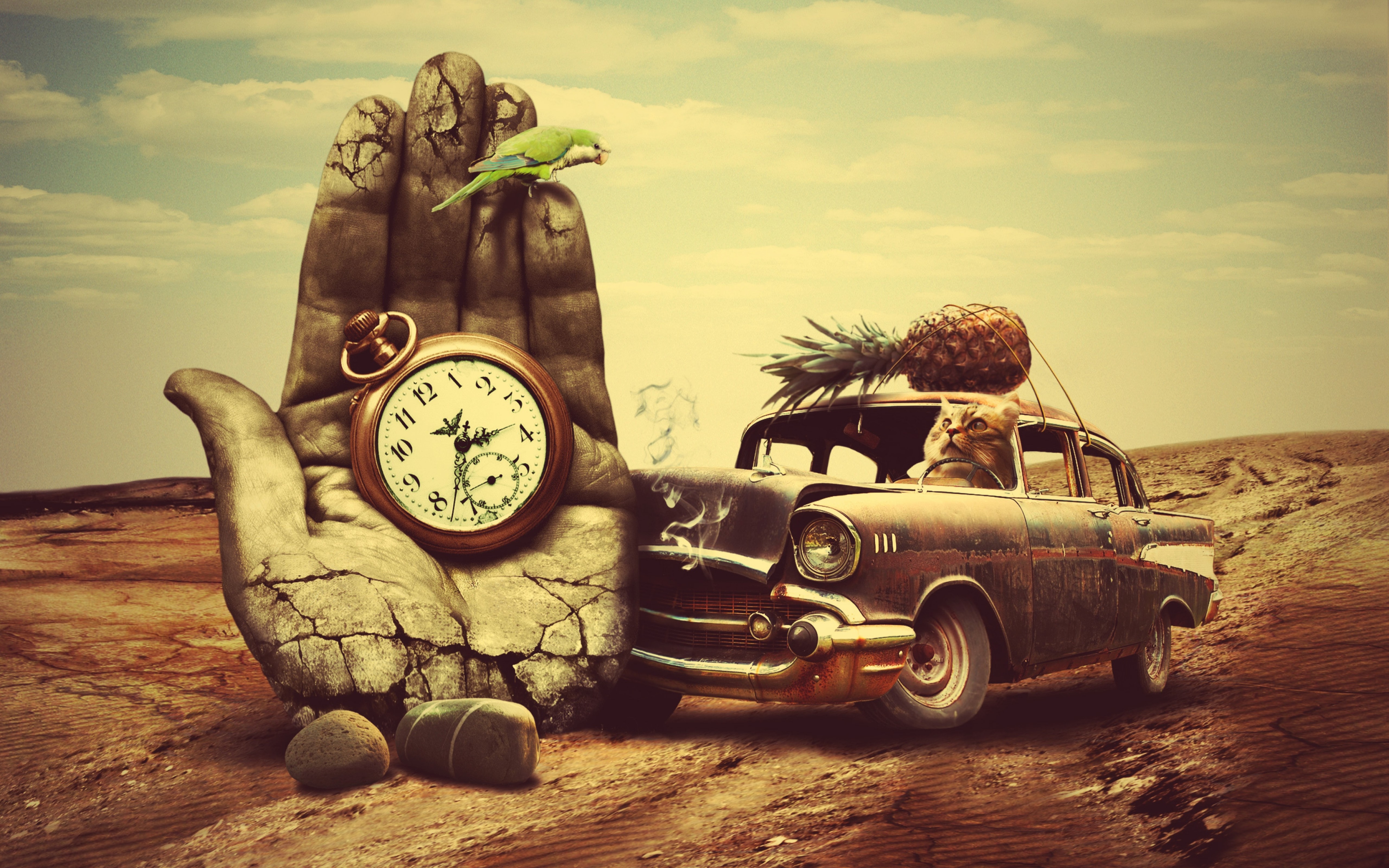 Rusty Old Car Clock Hand And Animals Creative HD Wallpaper