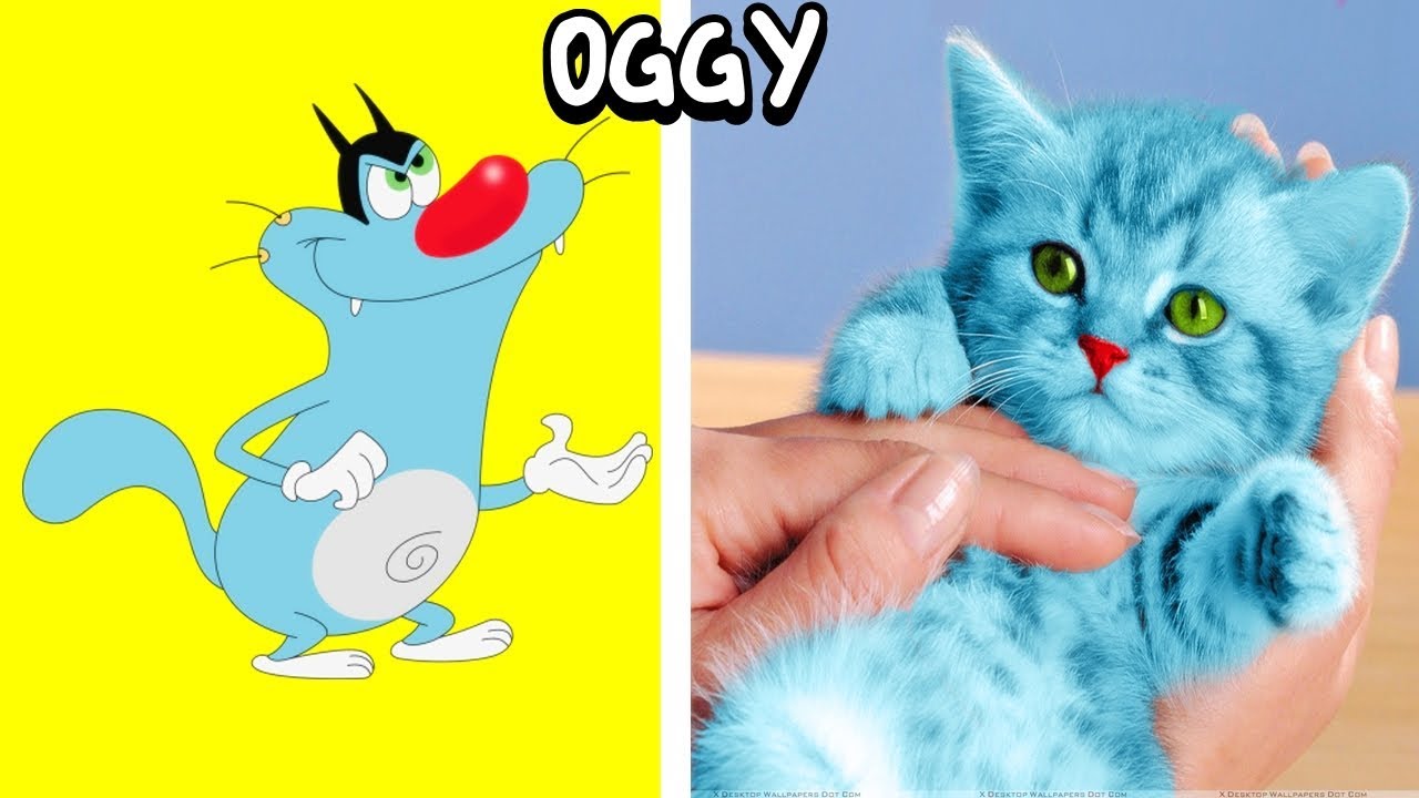 25+] Oggy The Cat Wallpapers - WallpaperSafari