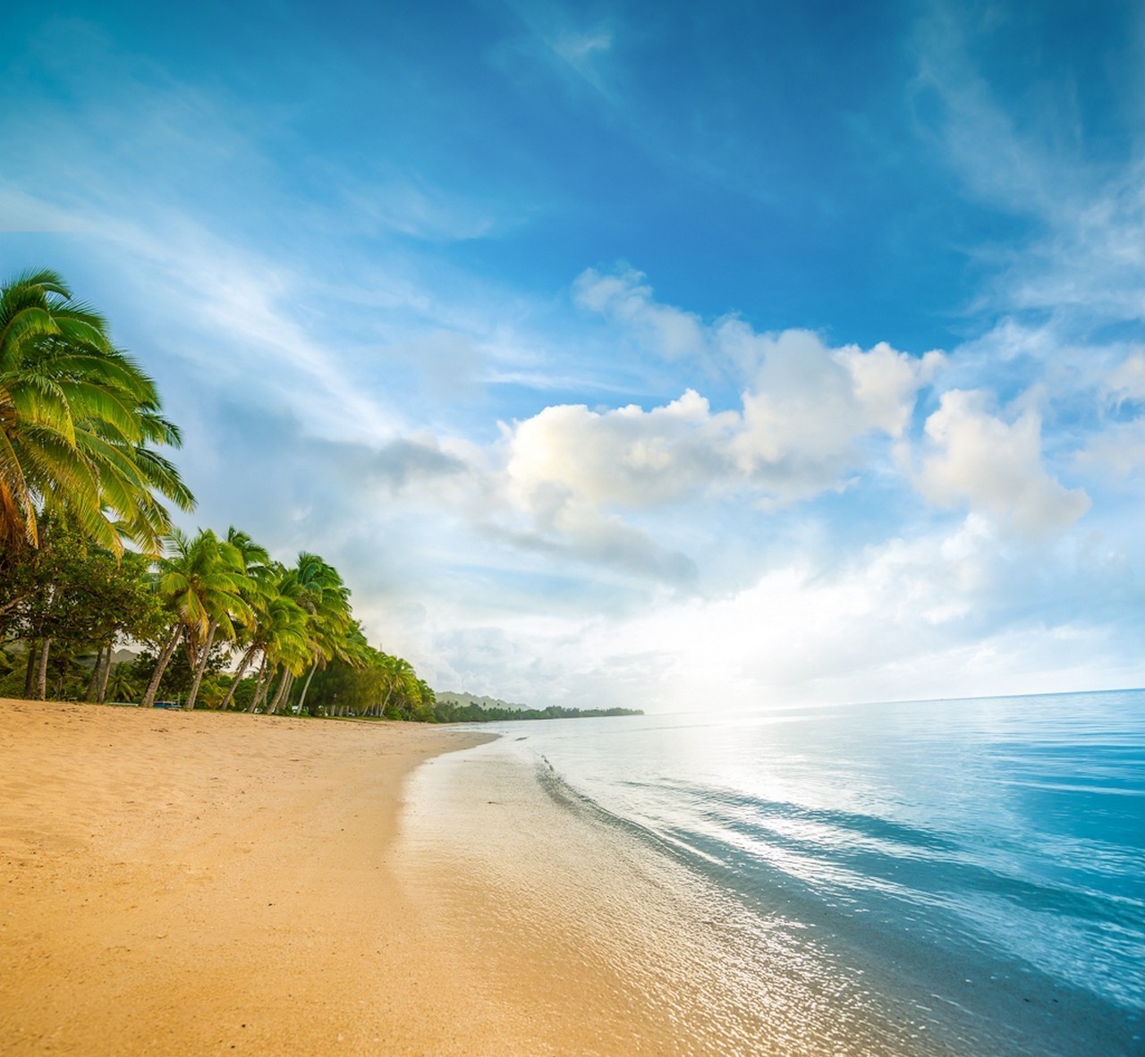 Beach Sand Sea Palm Trees Clouds Water Nature Landscape Blue Green Wallpaper