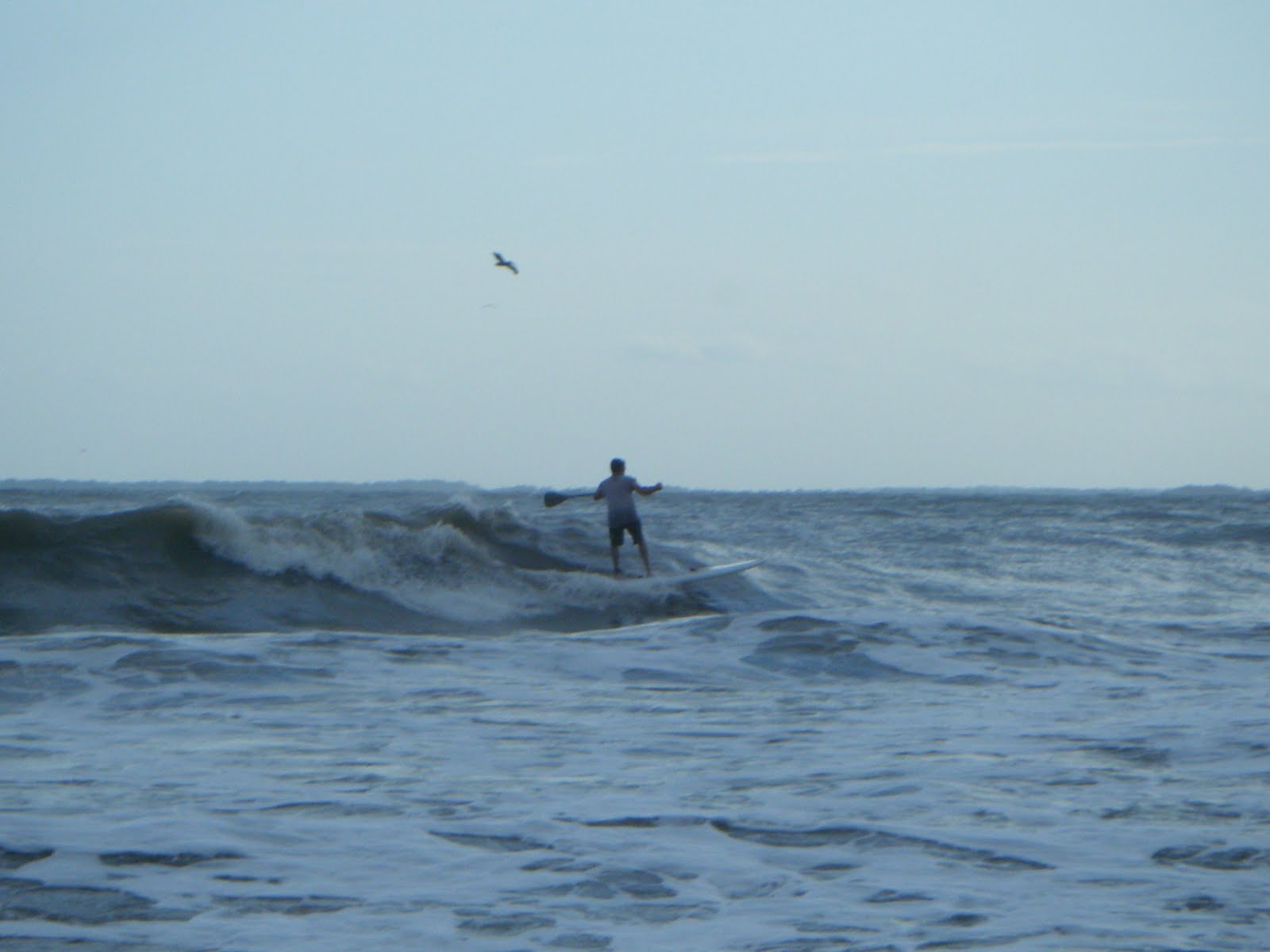Best Tybee Island Wallpaper Beautiful