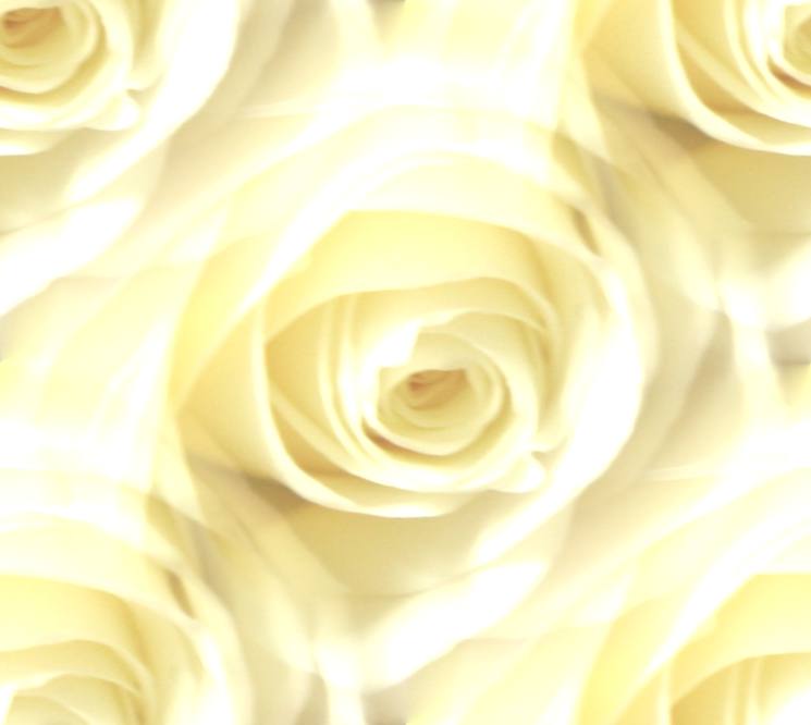 Rose Petals Seamless Background Background Repeating