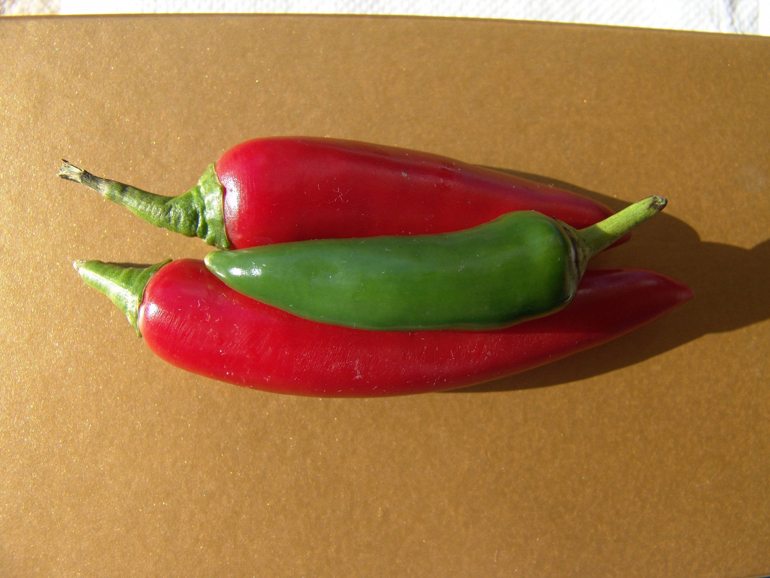 Red And Green Chilli Peppers Fresh On Gold Background Jr