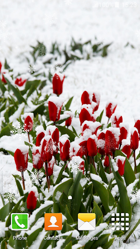 Winter Flowers Live Wallpaper For Pc