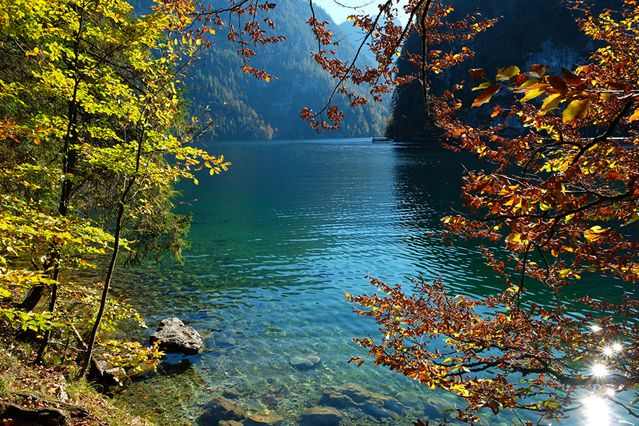 Free download Images Germany Konigsee Nature Autumn Lake stone Branches ...