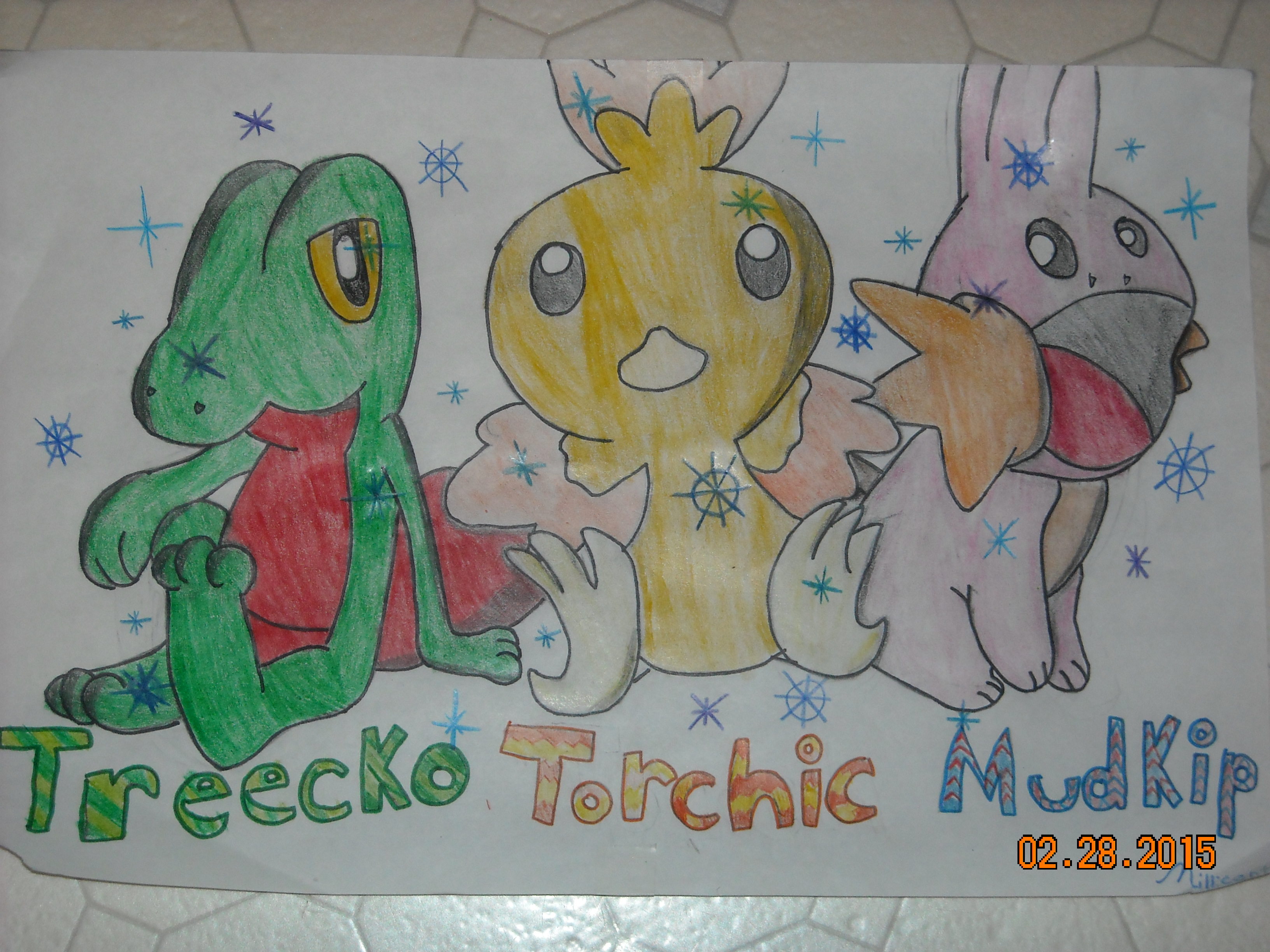 Shiny Treecko Torchic And Mudkip Sketch Wallpaper