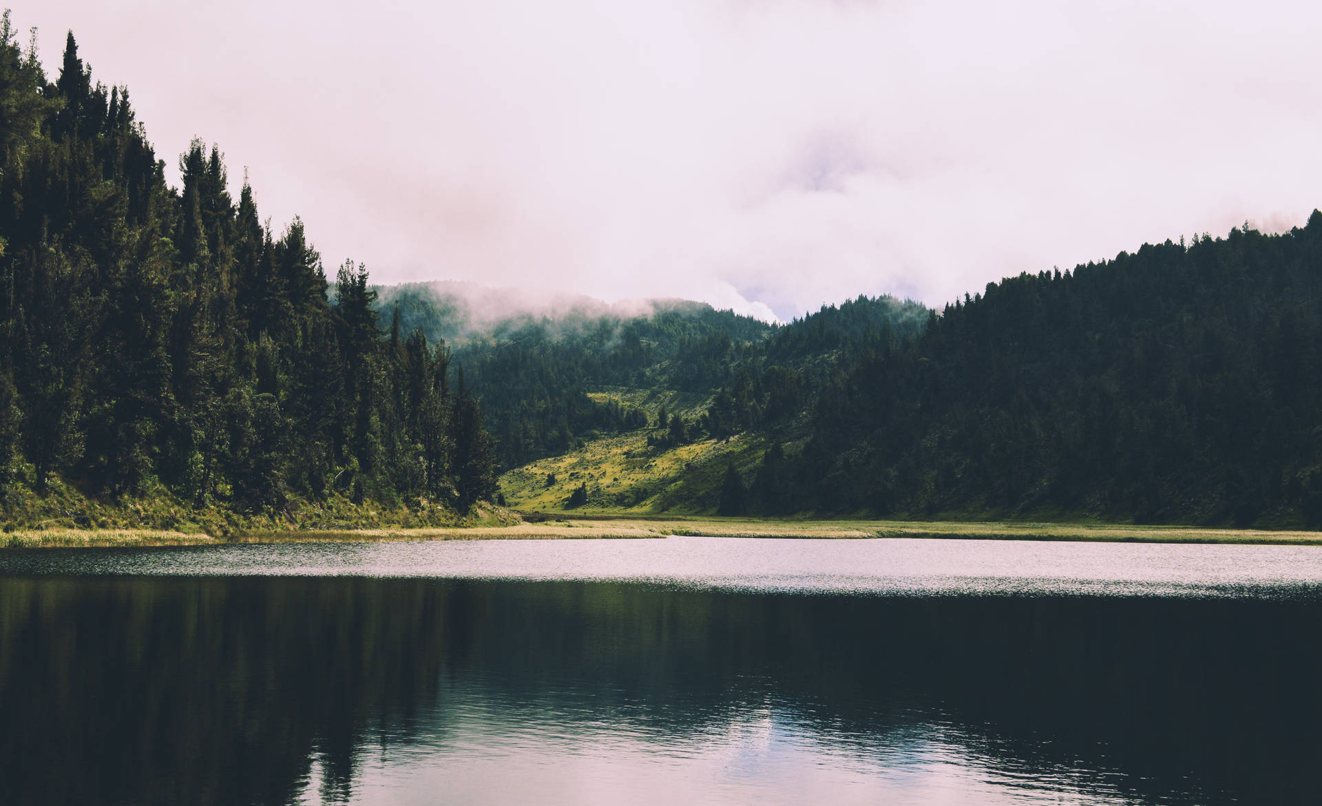 Forest Lake Wallpaper