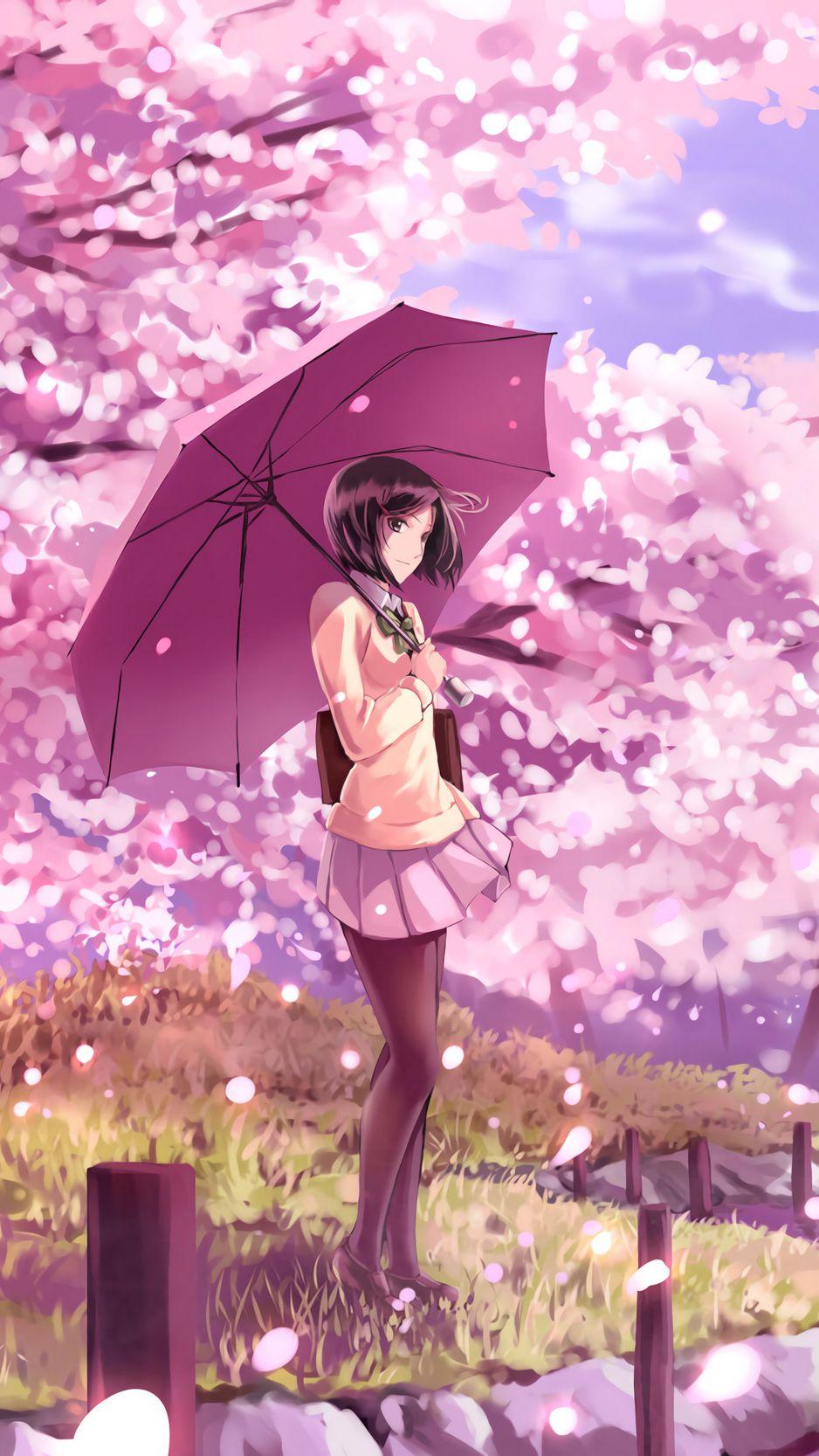 Wallpaper Girl Umbrella Sakura Anime Art