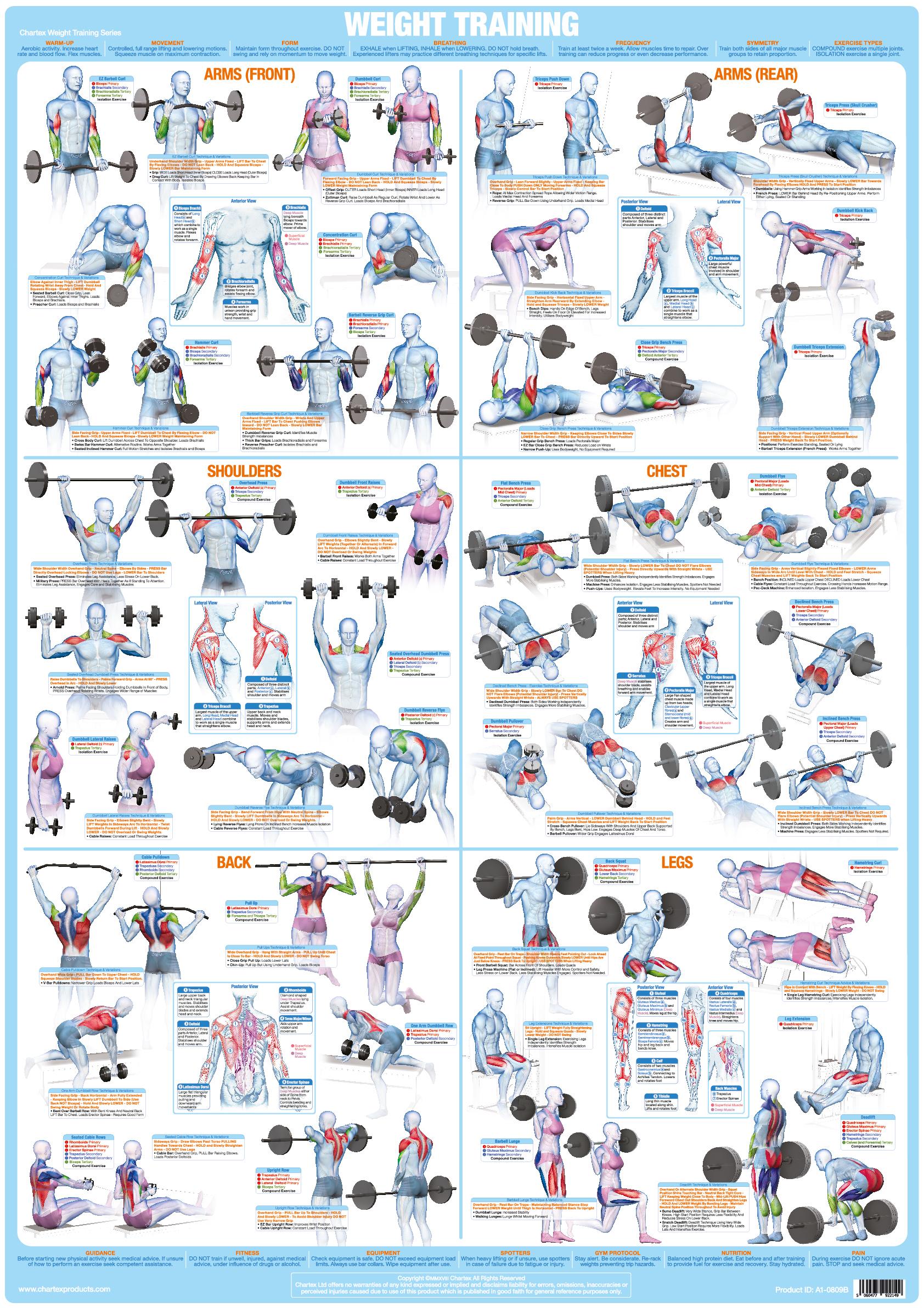 Bodybuiolding Weight Training Poster Wallpaper