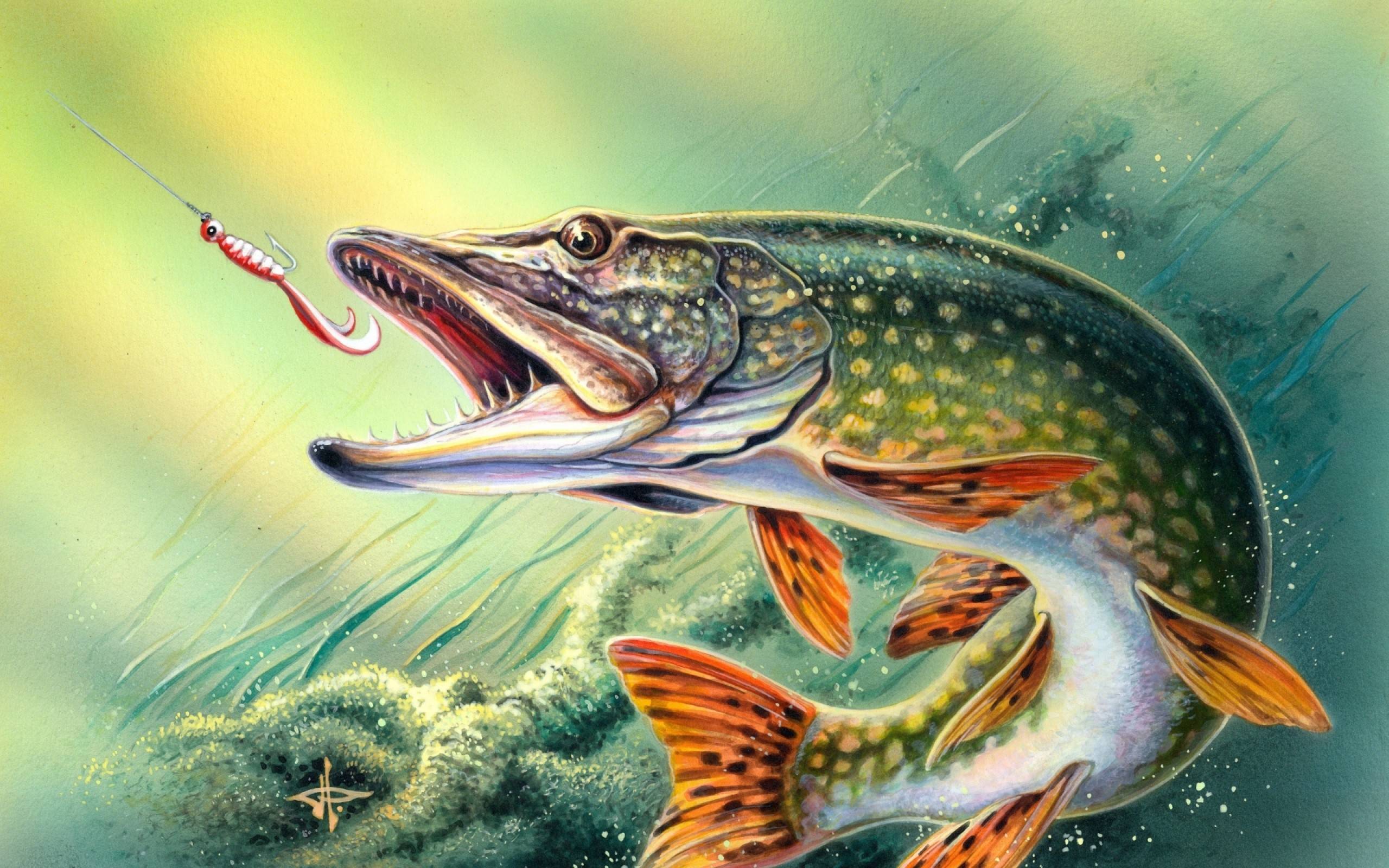 Bass Fishing Wallpaper Backgrounds 2560x1600