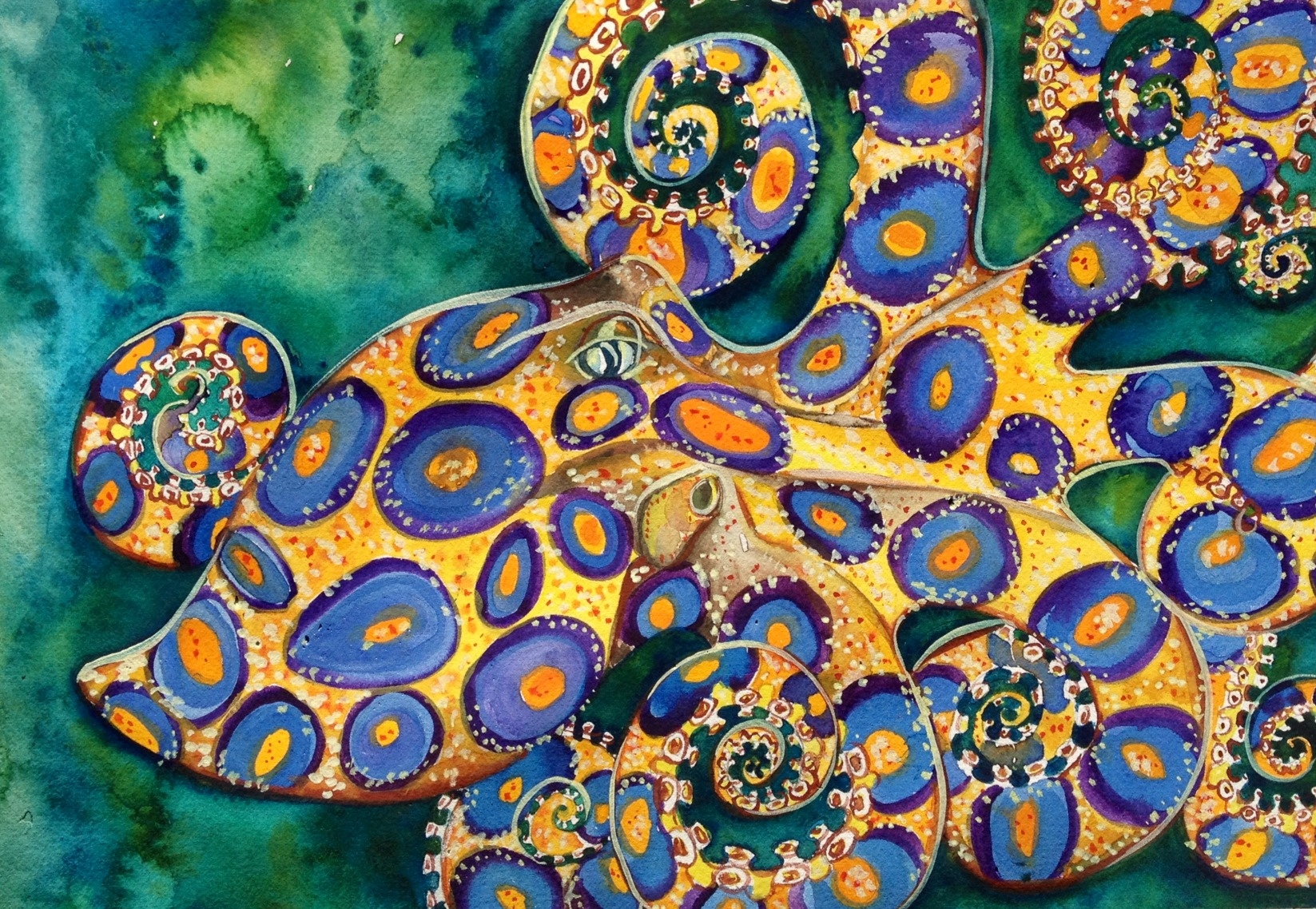 Blue Ringed Octopus Puter Wallpaper Desktop Background