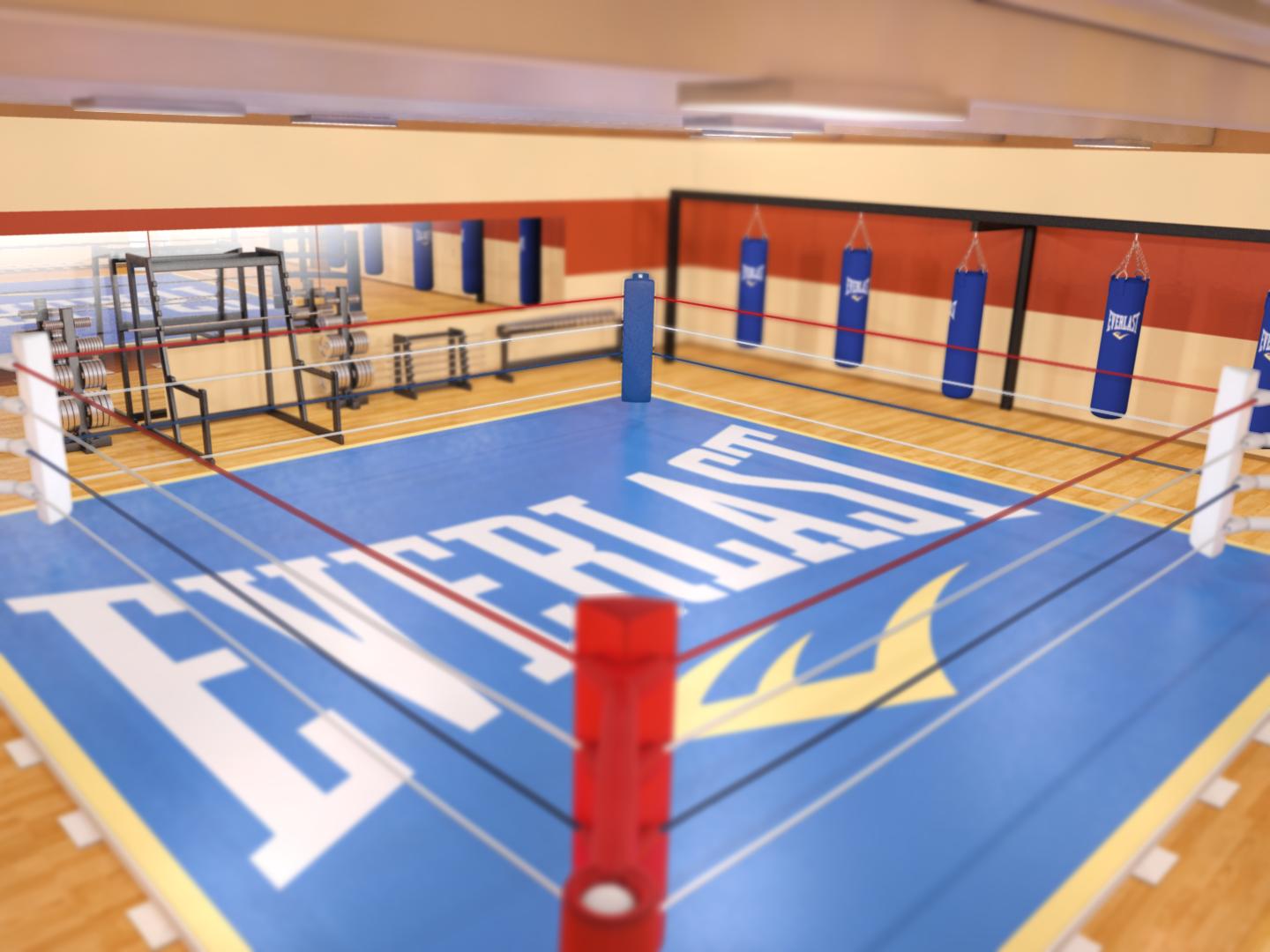 Boxing Gym With Dof By Ficdogg