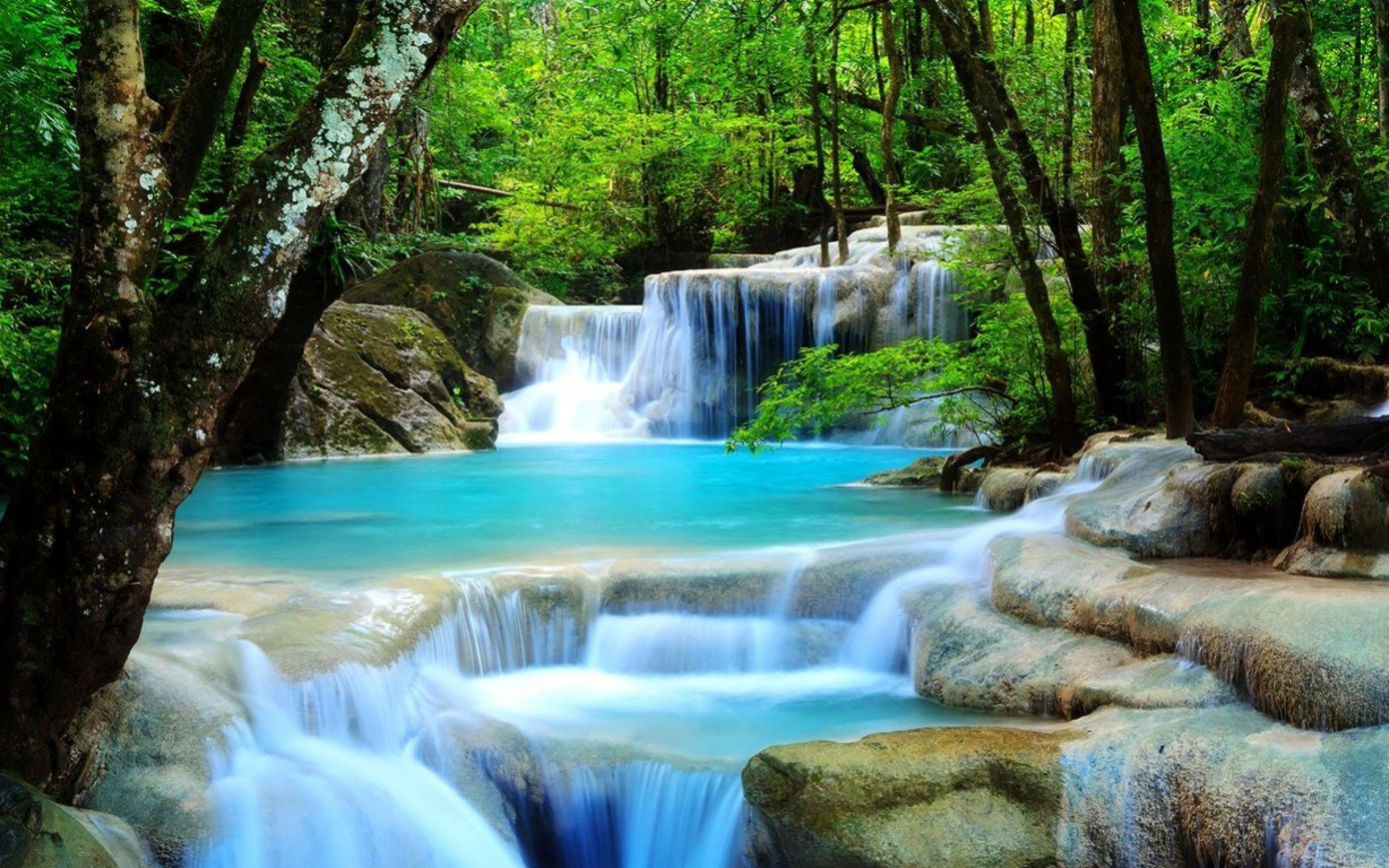download 3d waterfall live wallpaper which is under the waterfall